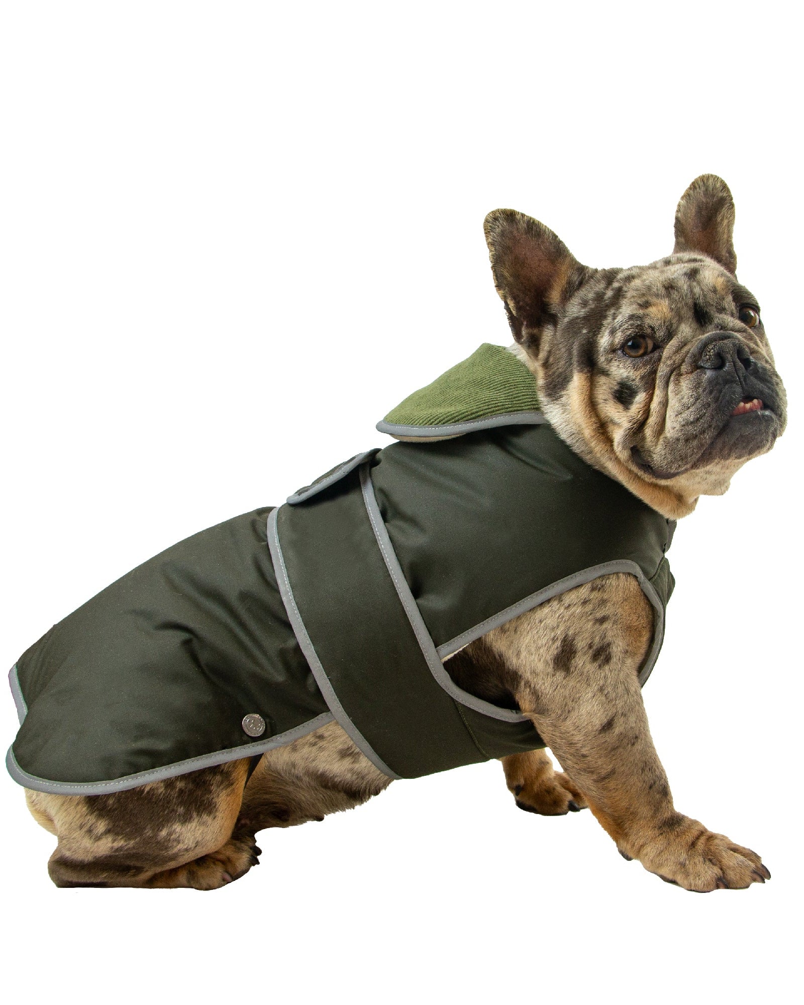 Ancol Heritage Wax Cotton Dog Coat