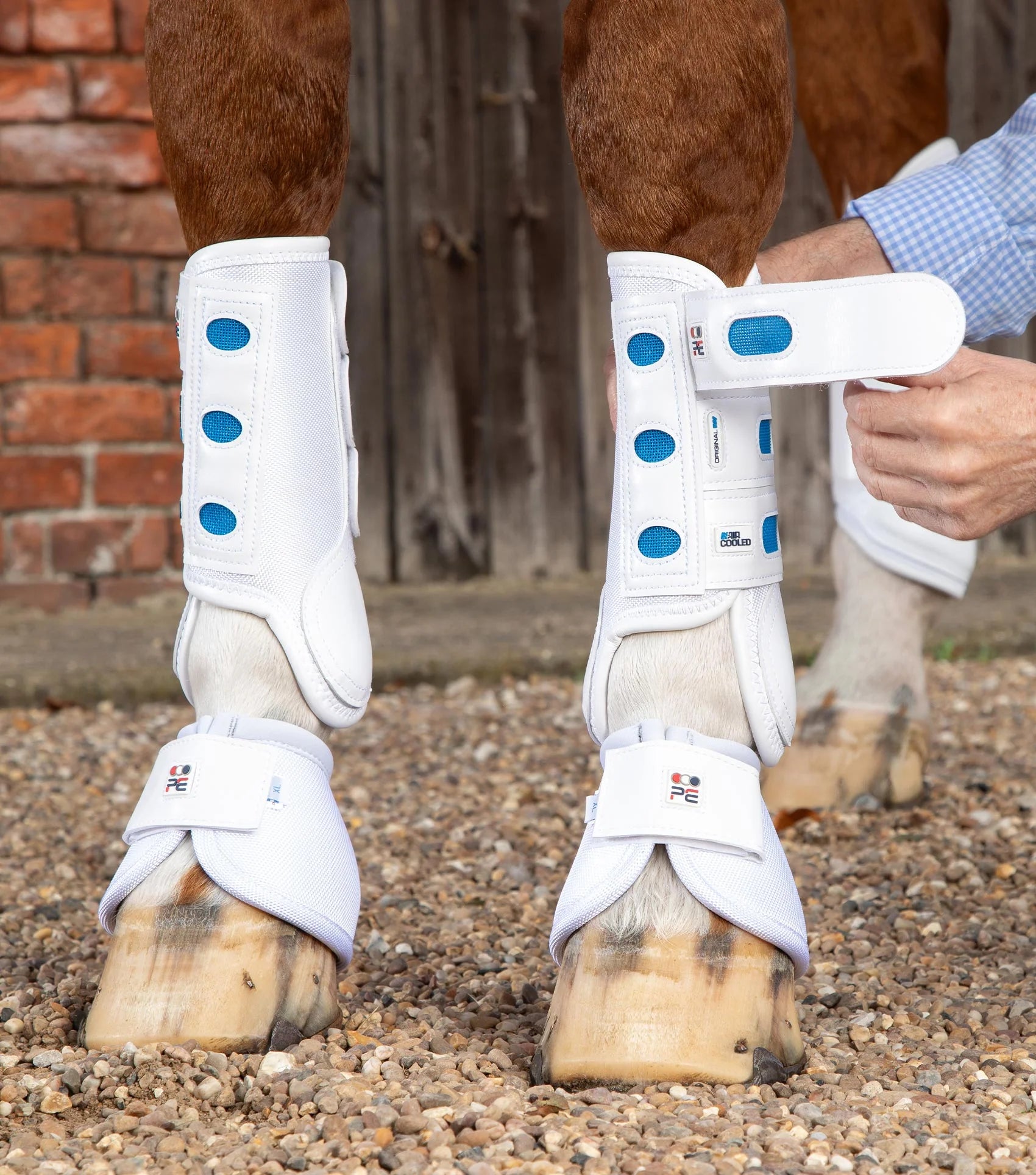 Premier Equine Air Cooled White Eventing Boots - Front & Hind, Protective Horse Legwear for Tendon Support & Cooling