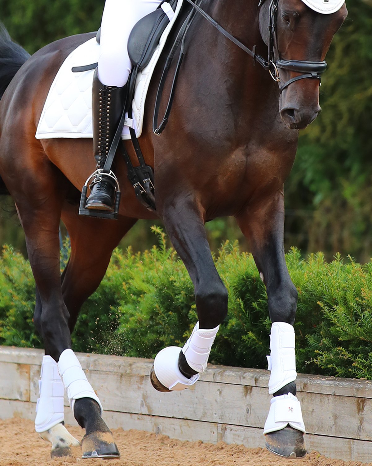 PREMIER EQUINE Carbon Air-Tech Brushing Boots - White Horse Leg Protection, Equiflair
