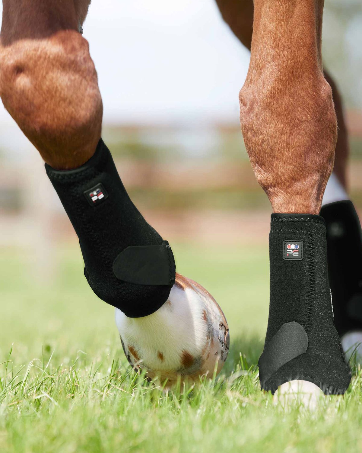 Premier Equine Air-Tech Sports Medicine Boots Black