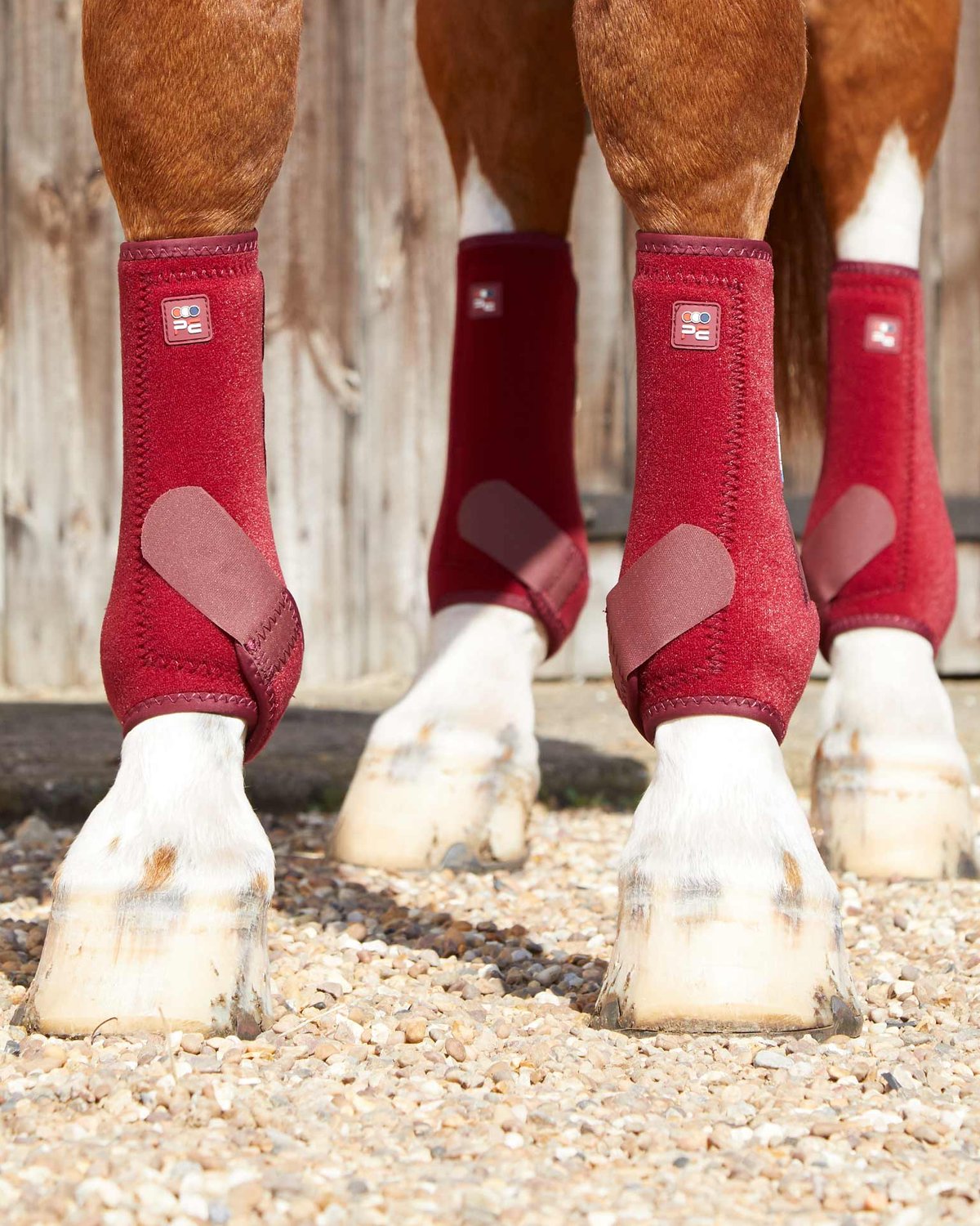 PREMIER EQUINE AIR-TECH Sports Medicine Boots Burgundy | Horse Leg Protection, Breathable, Supportive, Equiflair