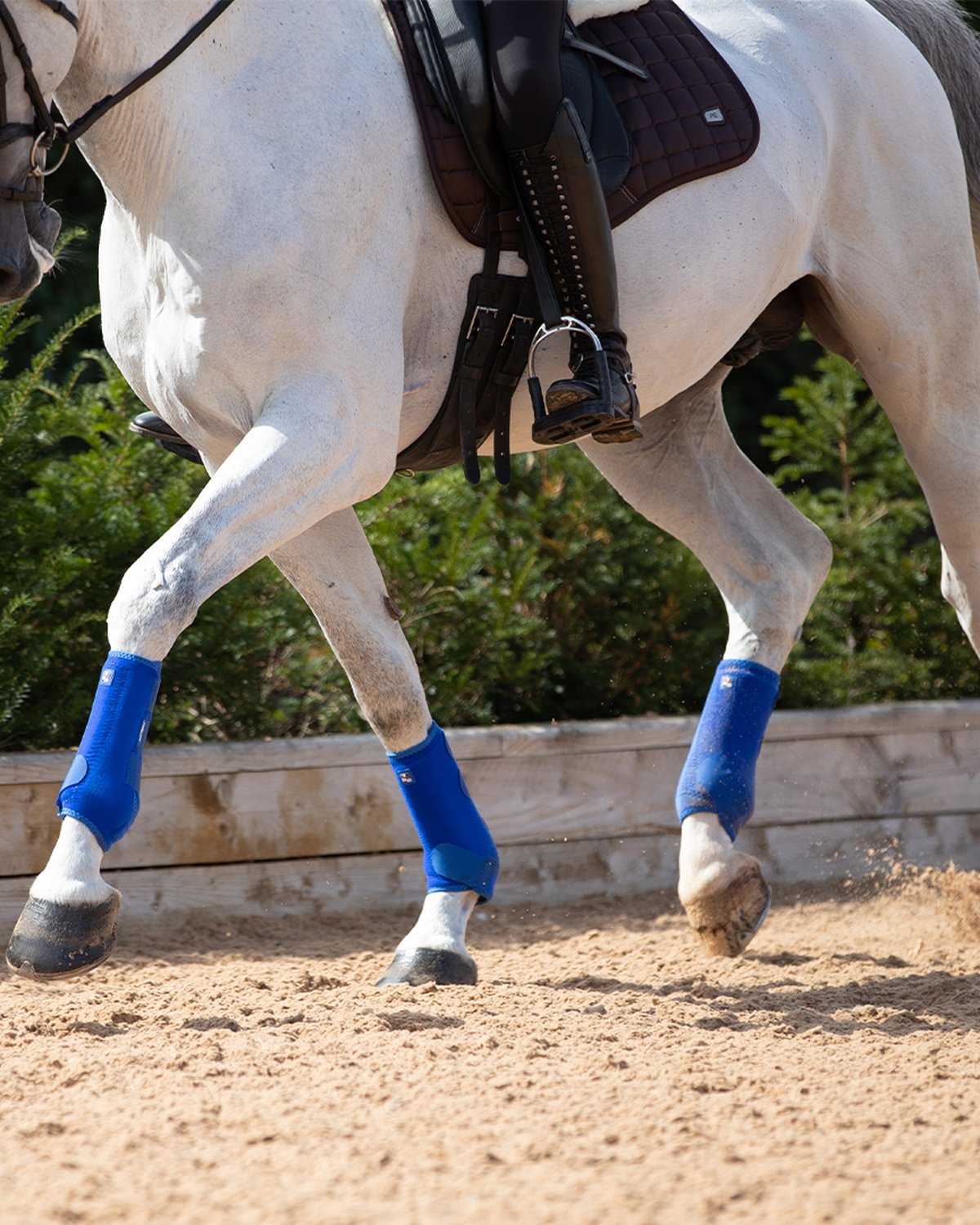 PREMIER EQUINE Air-Tech Sports Medicine Boots in Royal Blue on horse legs. Equiflair.
