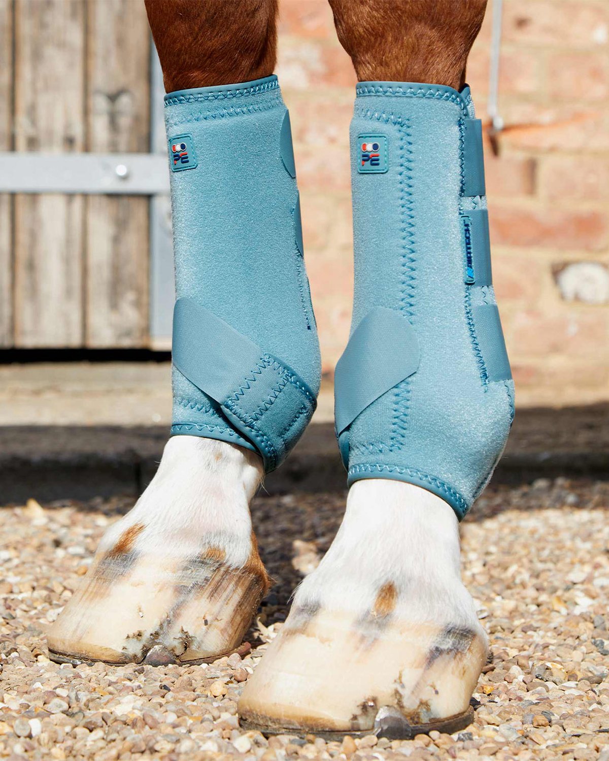 Premier Equine Air-Tech Sports Medicine Horse Boots Turquoise | Equiflair. Protection & Support for Tendons, Fetlocks, and Ligaments.