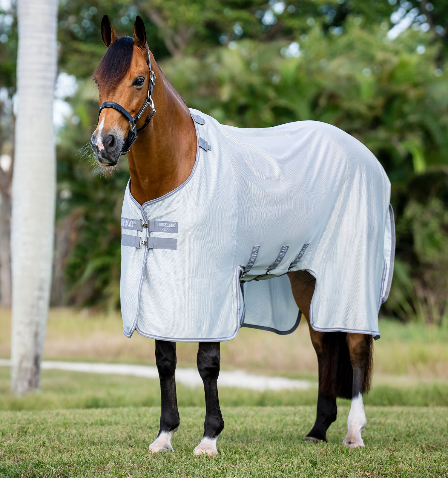 Amigo Bug Buster Fly Sheet Azure Blue/Navy & Electric Blue