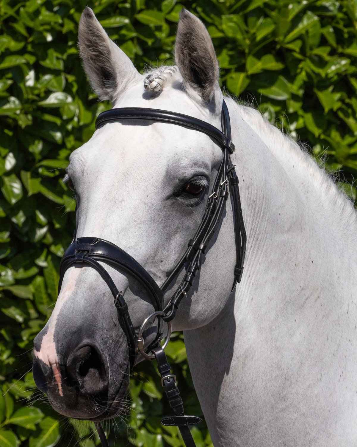 Premier Equine Artana Snaffle Bridle Black
