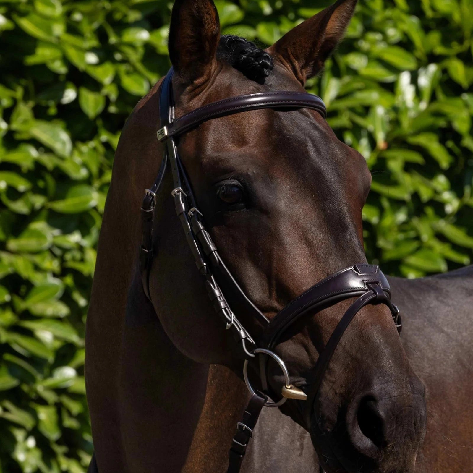 Brown Horse Bridle - Premier Equine Artana Snaffle Bridle. Anatomical Italian Leather Tack.