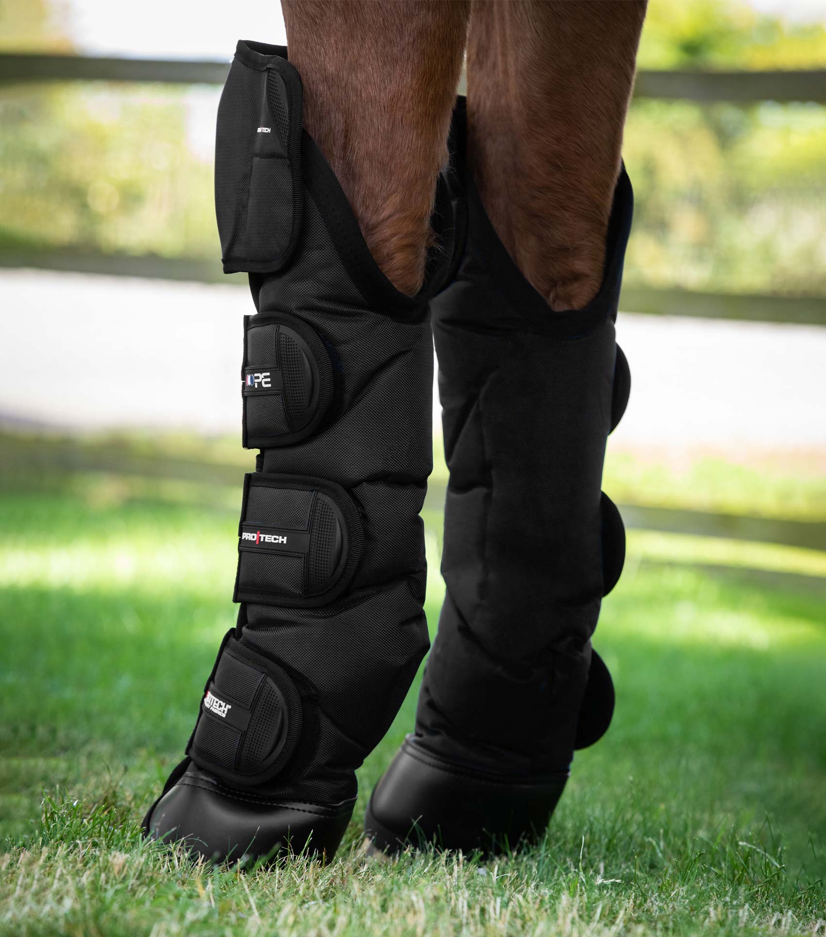 Premier Equine Ballistic Knee Pro-Tech Horse Travel Boots Black: Superior Protection, Travel Ready