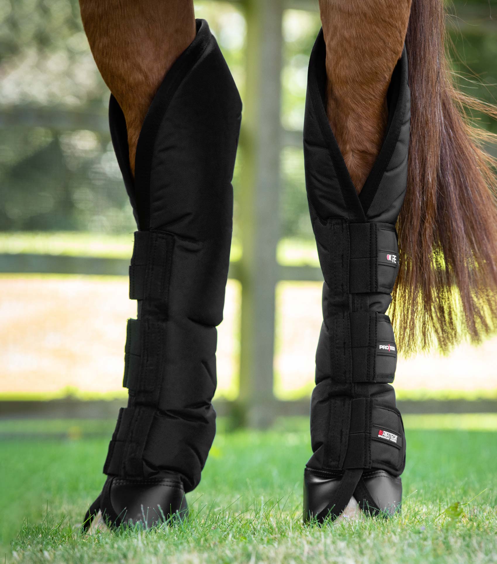 Premier Equine Ballistic Knee Pro-Tech Black Horse Travel Boots for Leg Protection & Injury Prevention