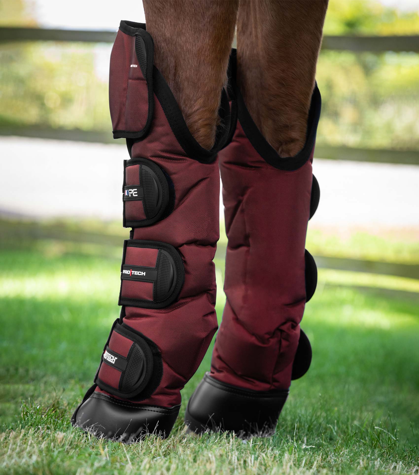 Horse Travel Boots: PREMIER EQUINE BALLISTIC KNEE PRO-TECH - Burgundy - Ultimate Leg Protection for Horses