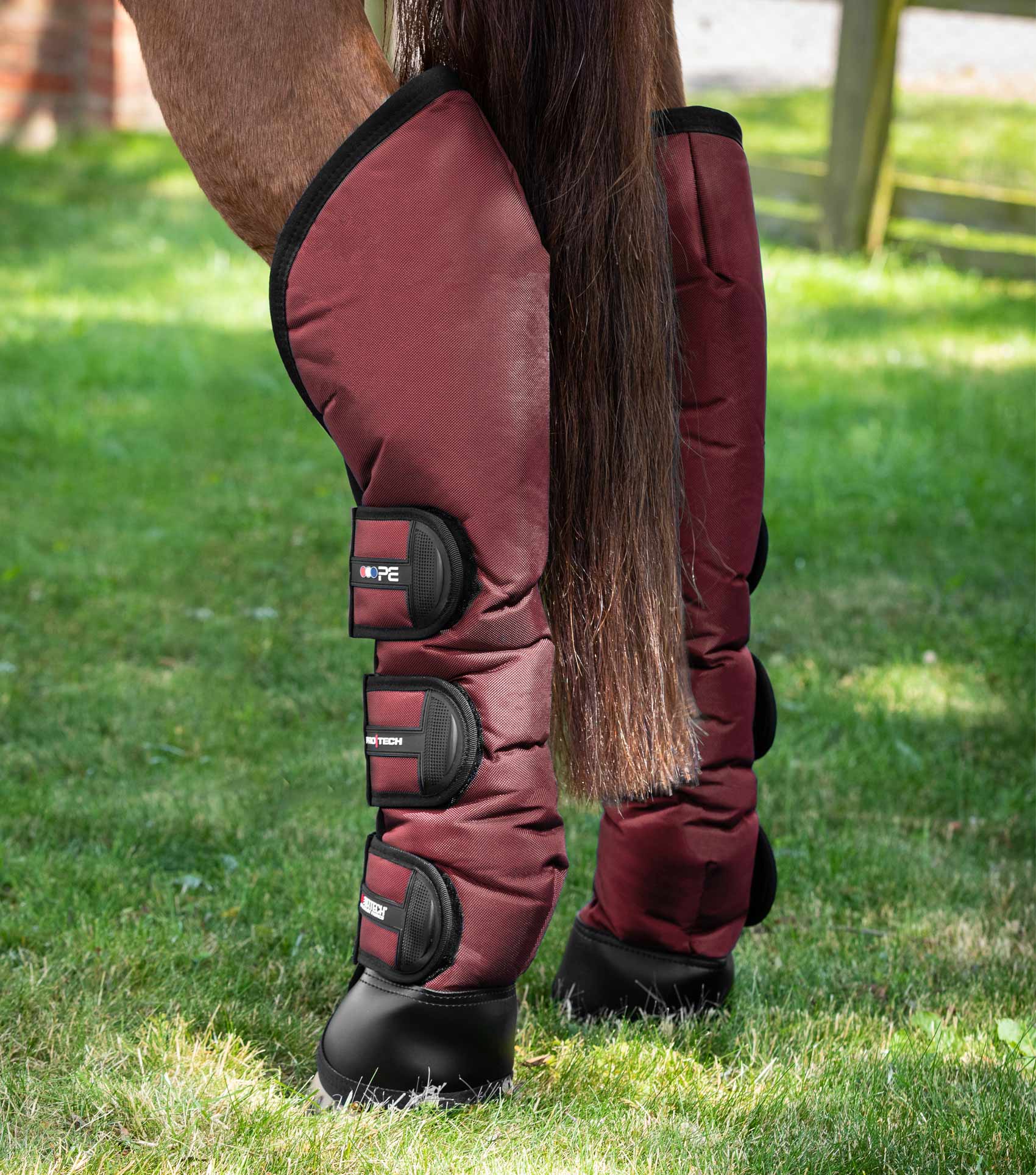 Premier Equine Burgundy Horse Travel Boots - Knee Protection
