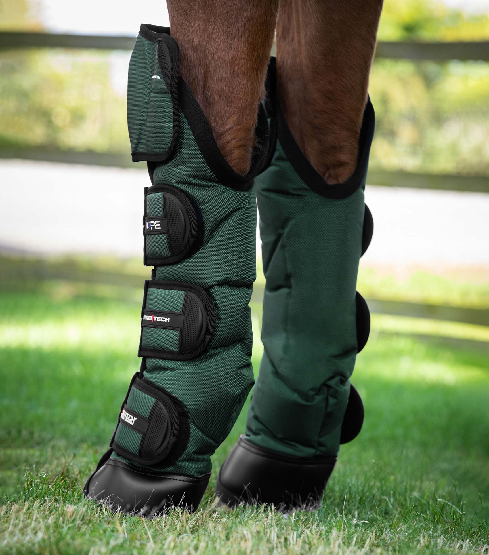 Premier Equine Ballistic Knee Pro-Tech Horse Travel Boots - Green: Ultimate Horse Leg Protection