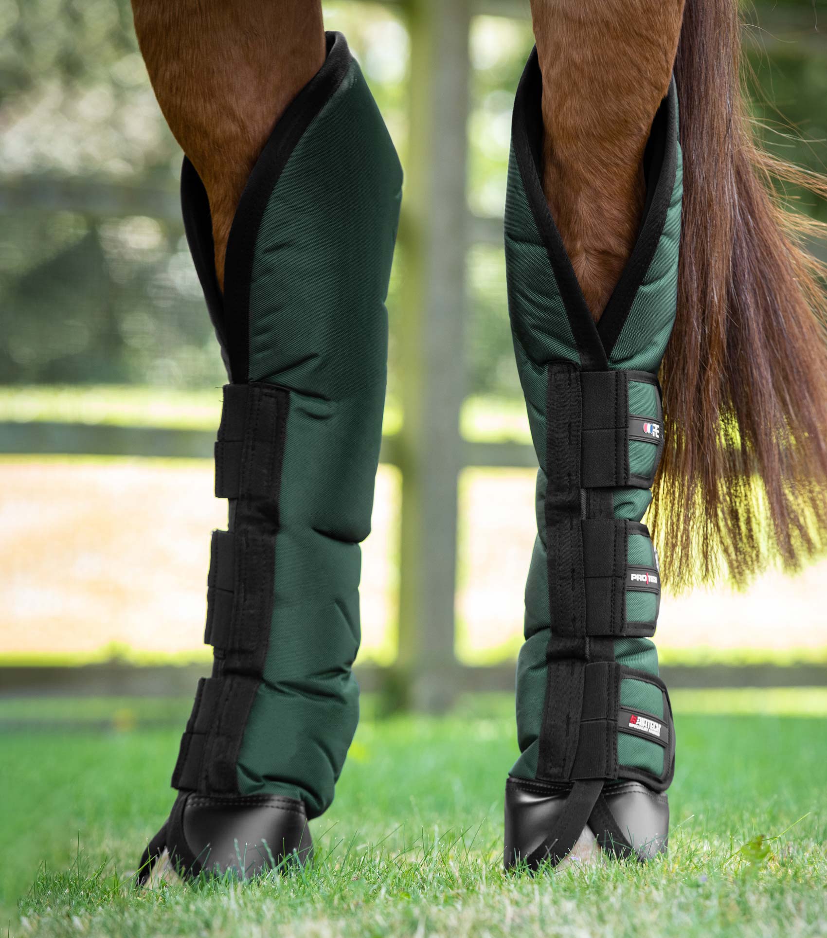 Horse travel boots with knee protection by Premier Equine - Green