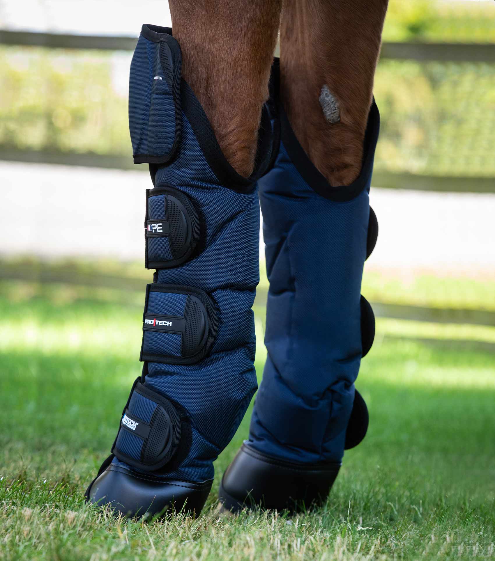 Premier Equine Ballistic Knee Pro-Tech Horse Travel Boots Navy - Equiflair