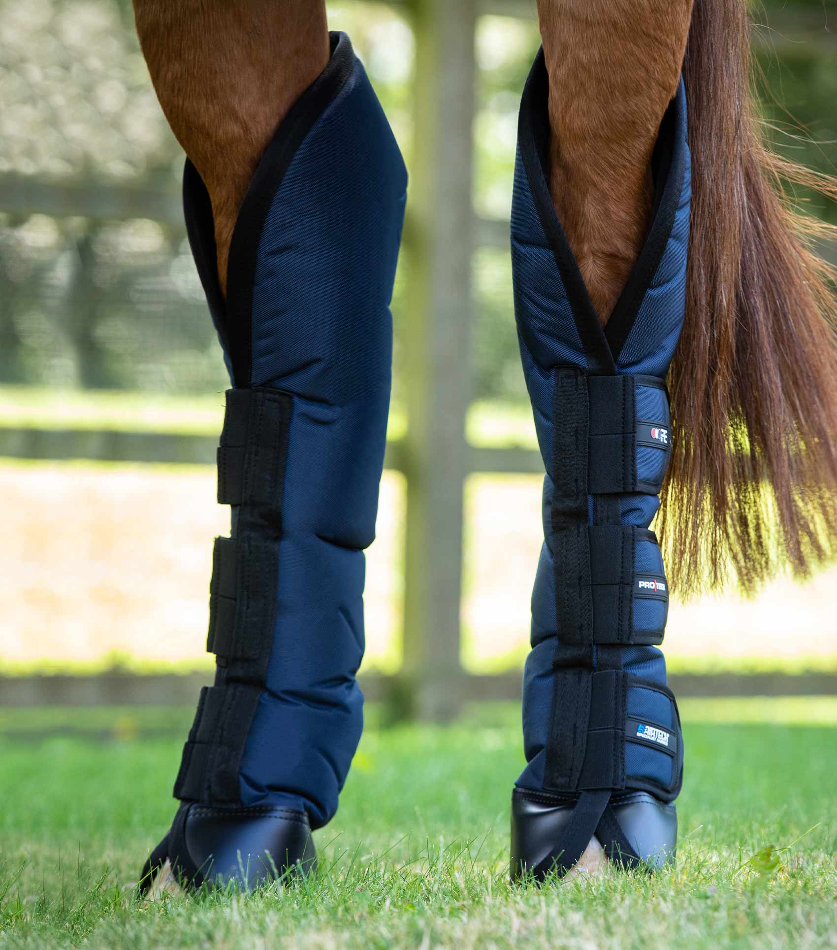 Premier Equine Ballistic Knee Pro-Tech Horse Travel Boots Navy: Ultimate Protection & Comfort