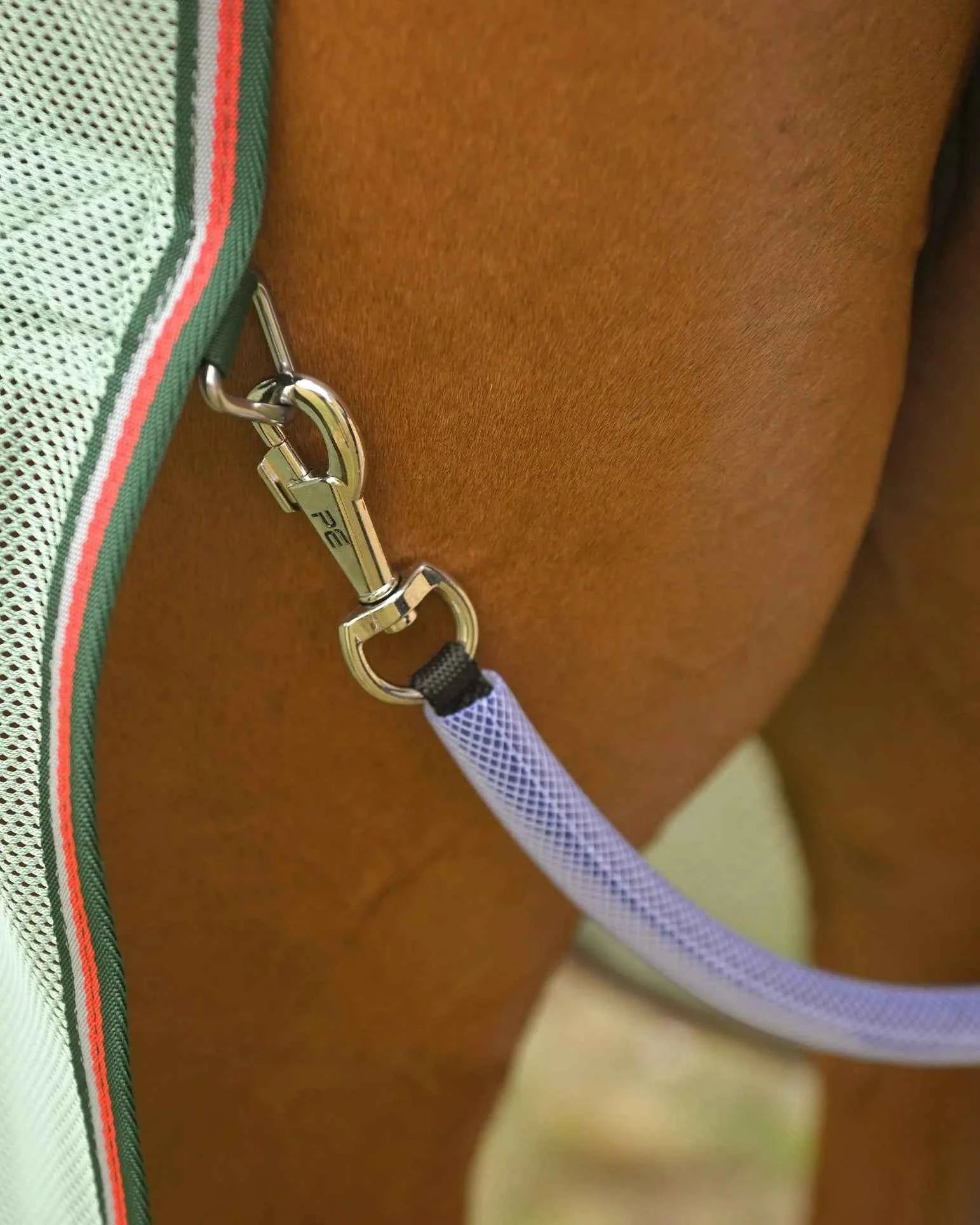 Premier Equine Bug Buster Fly Rug with Detachable Neck and Belly Flap Mint Green