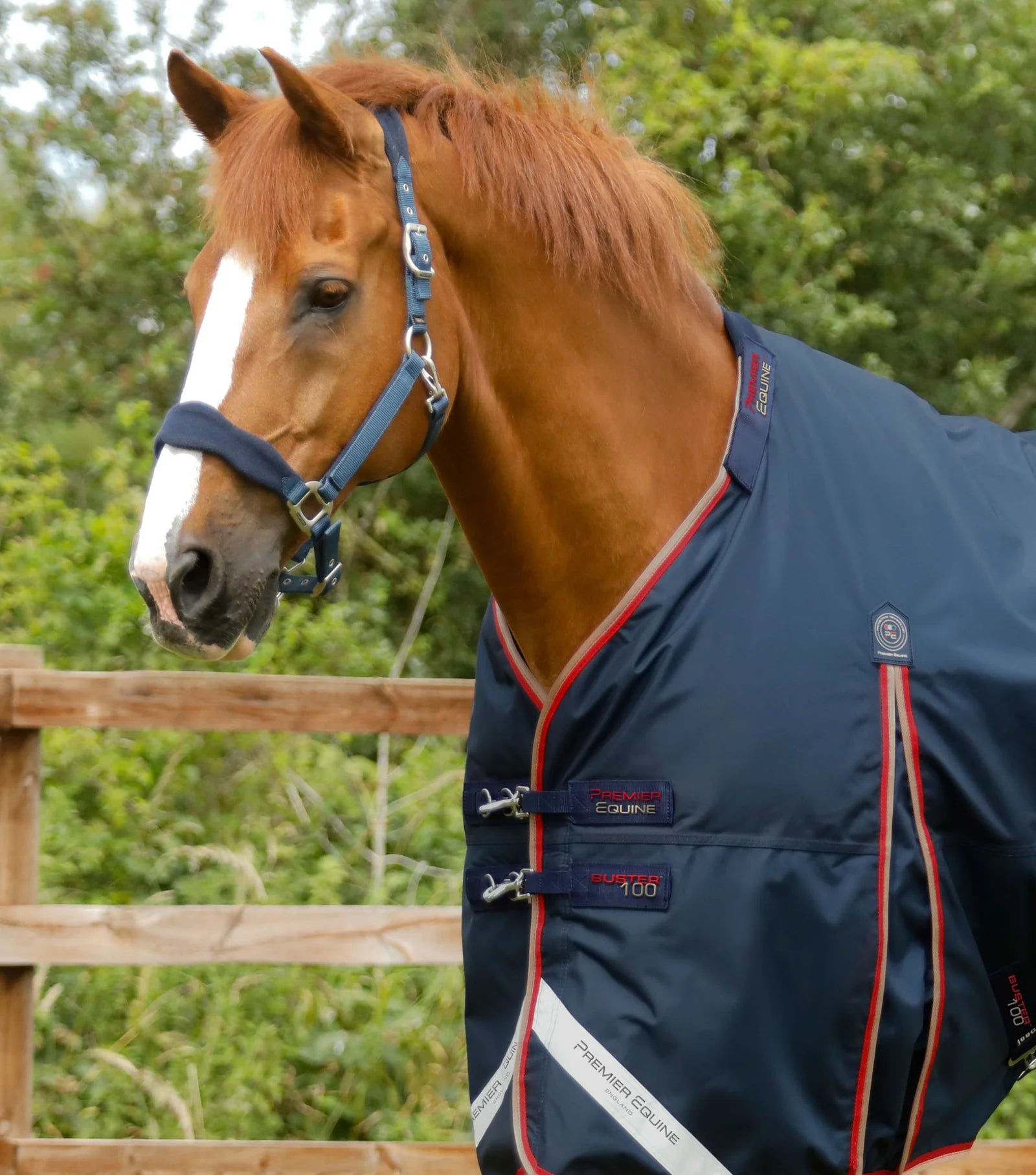 Premier Equine Buster 100g Turnout Rug with Snug-Fit Neck Cover Navy