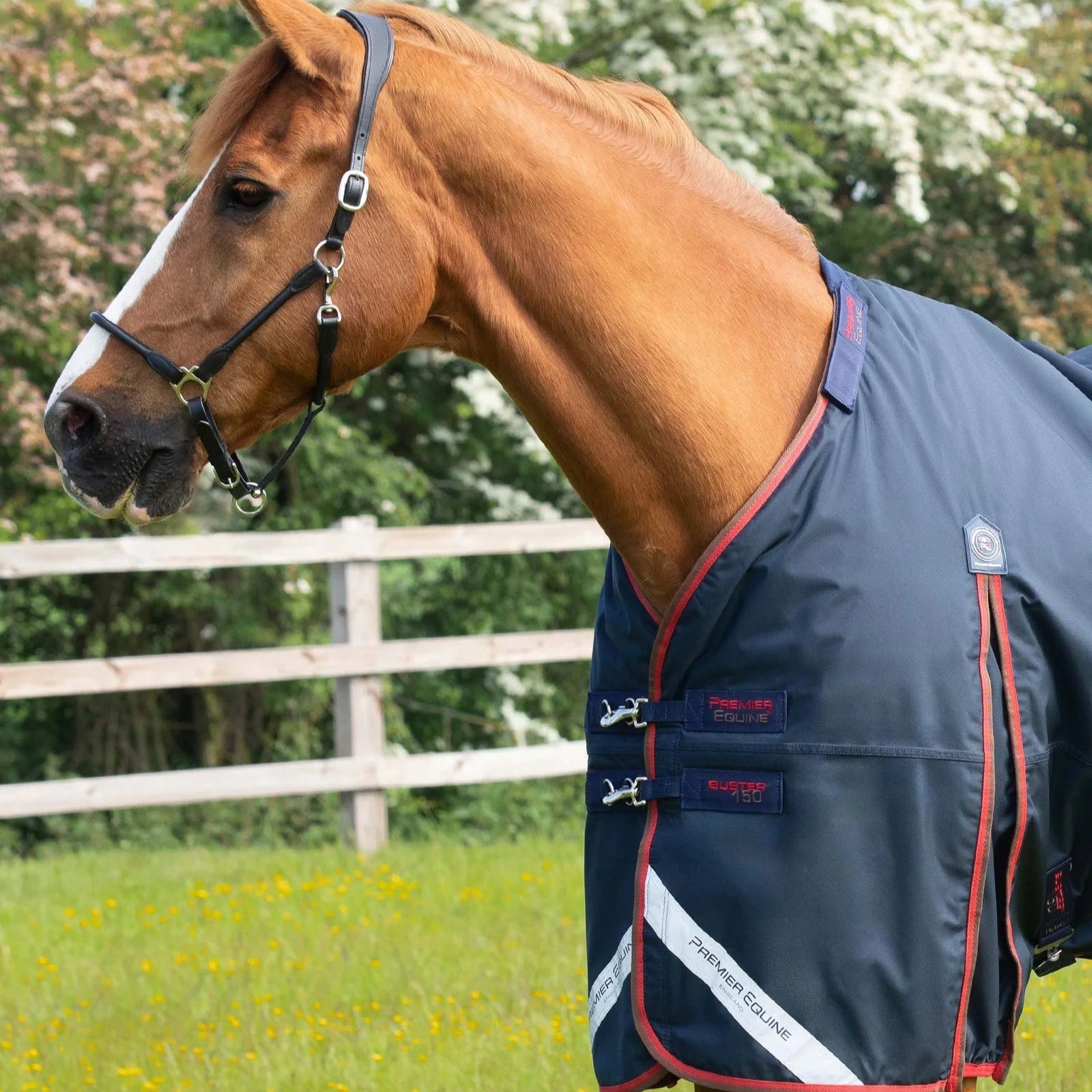 Premier Equine Buster 150g Turnout Rug with Classic Neck Cover Navy