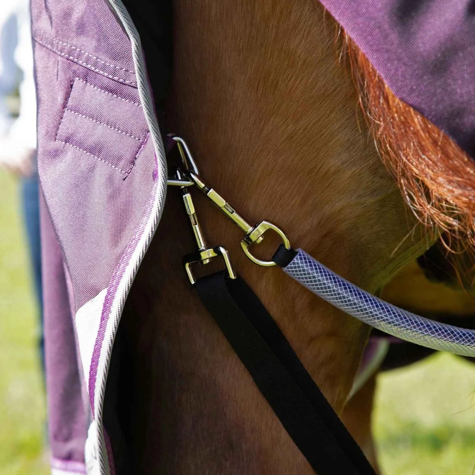 Premier Equine Buster 70g Turnout Rug with Classic Neck Cover Purple