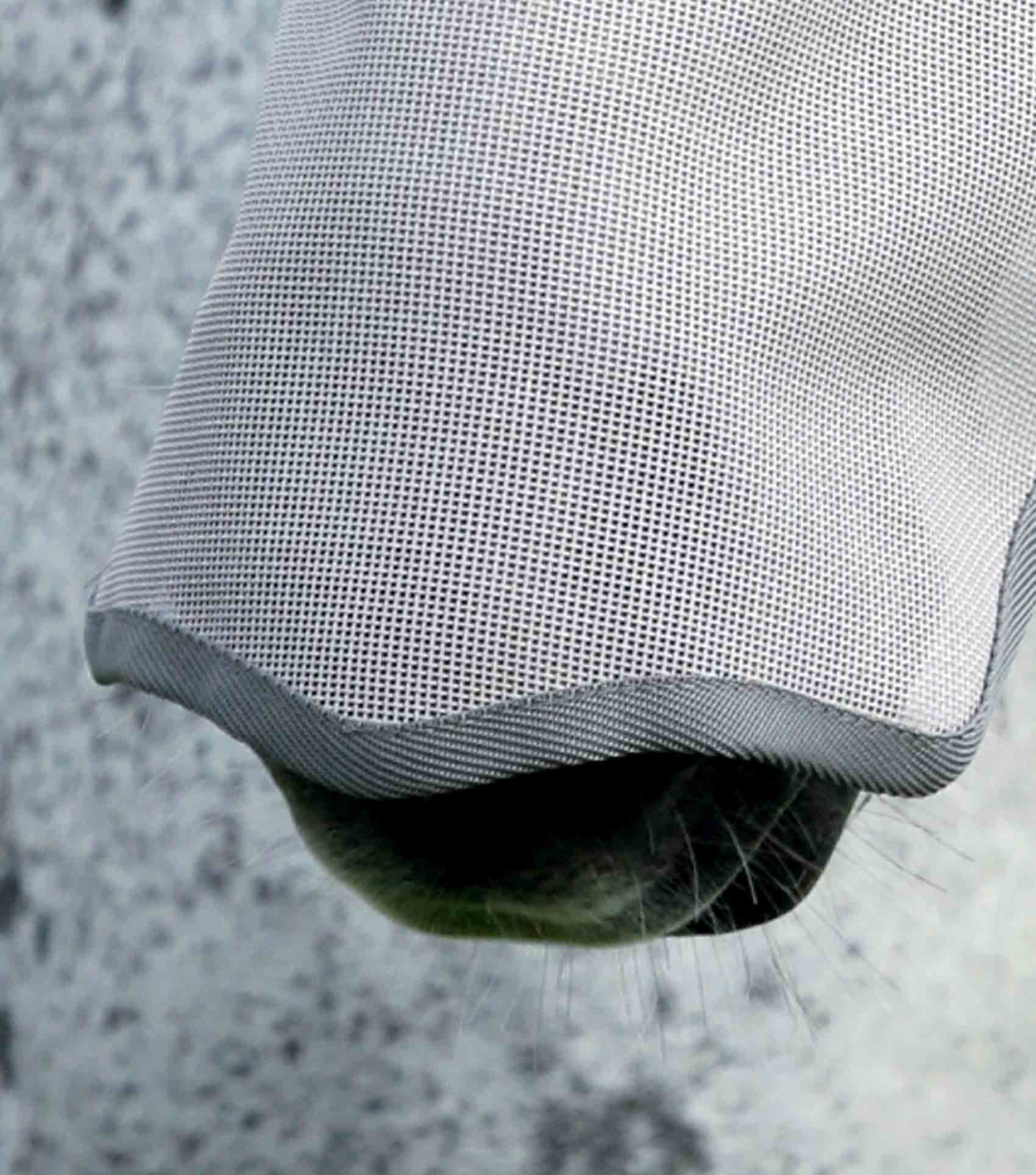 Premier Equine Buster Fly Mask Xtra Silver - Horse Fly Protection, UV Reflective, Long Nose Guard
