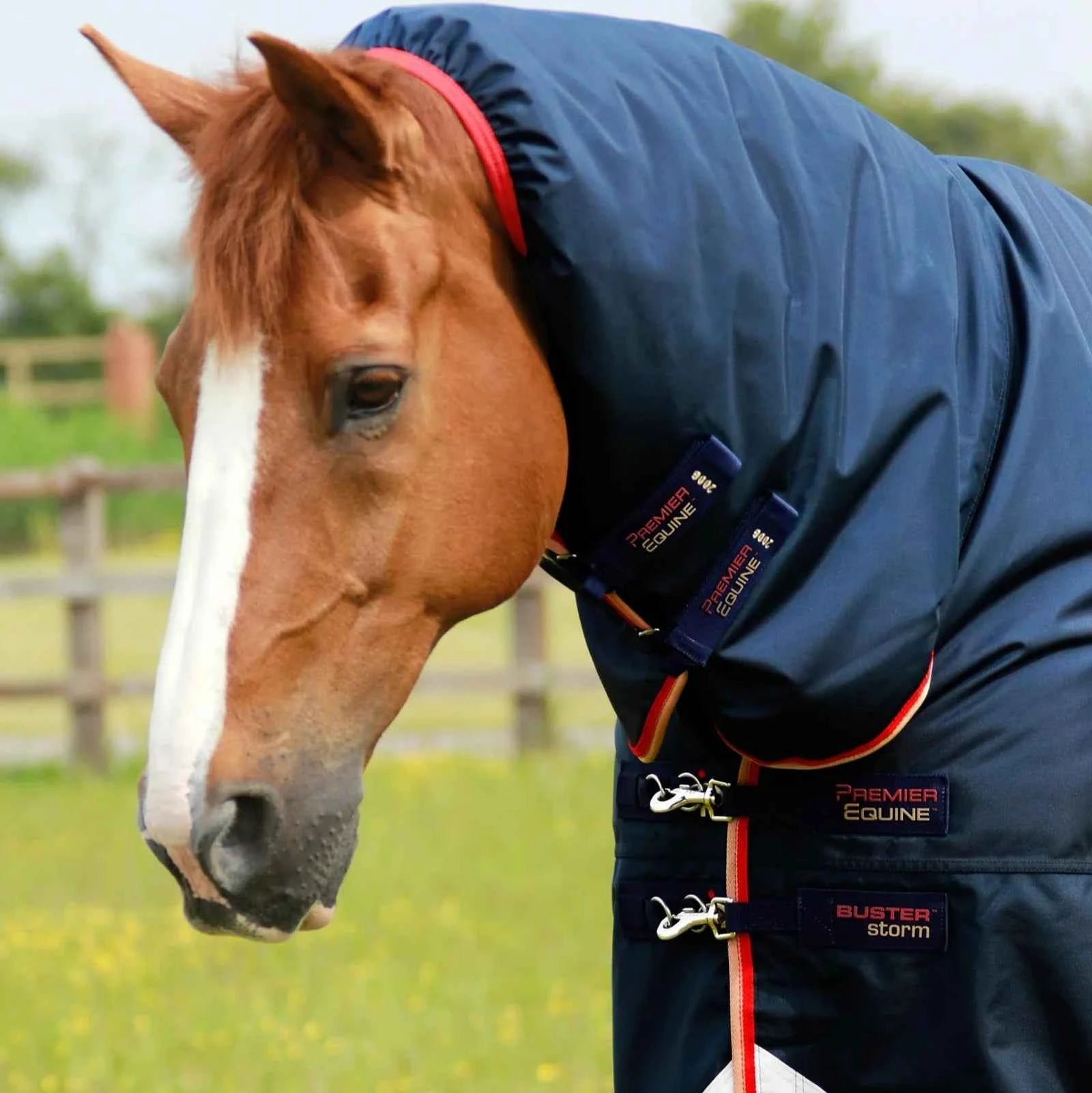 Premier Equine Buster Storm 200g Combo Turnout Rug with Snug-Fit Neck Navy