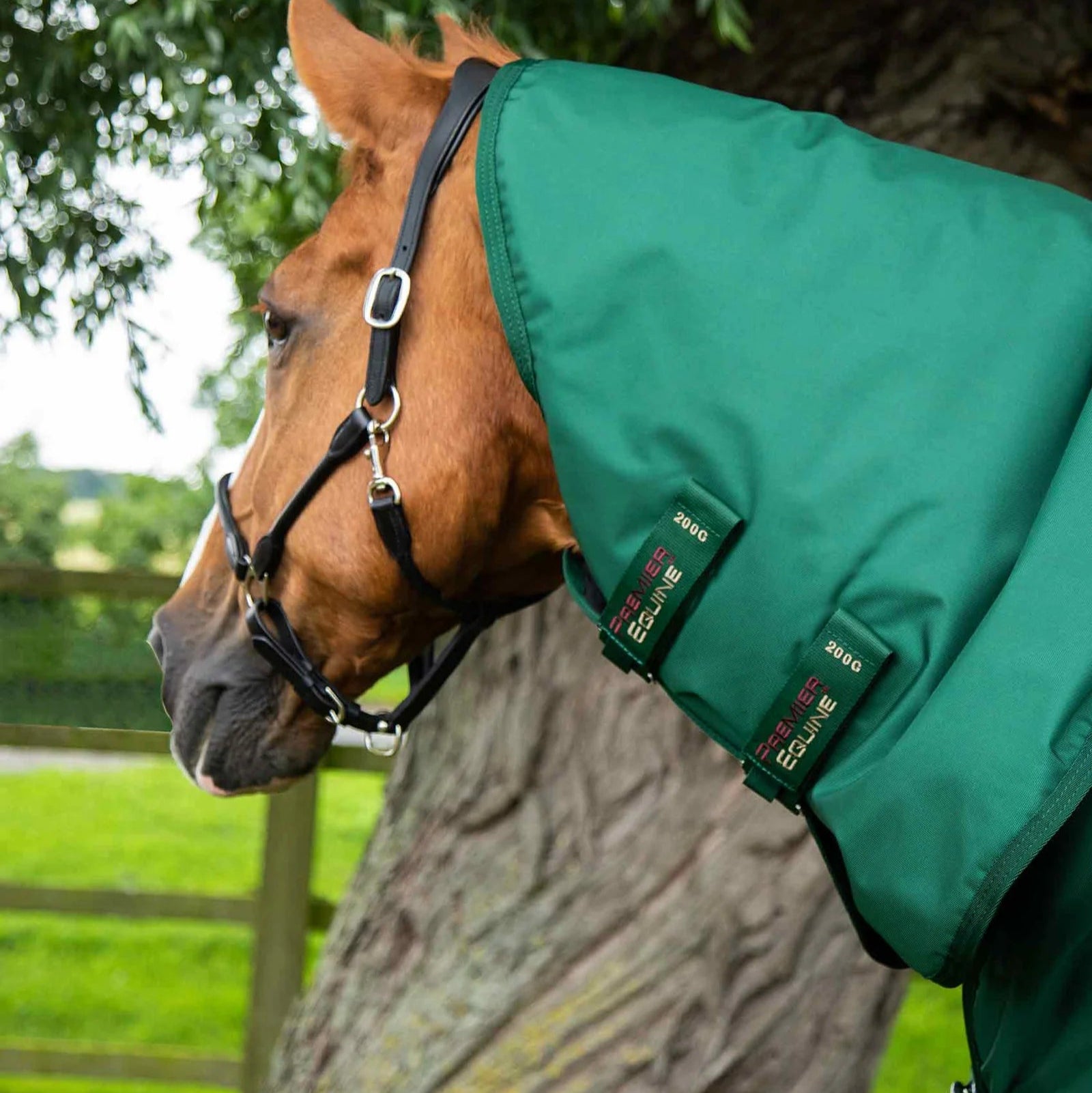 Premier Equine Buster Storm 220g Combo Turnout Rug with Classic Neck Green