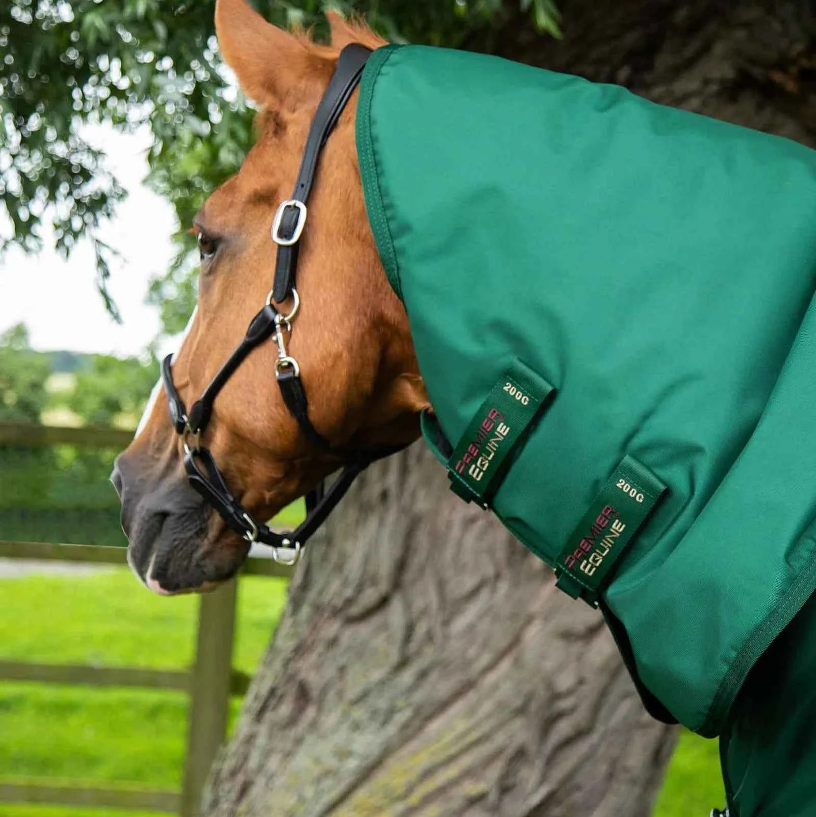 Premier Equine Buster Storm 220g Combo Turnout Rug with Classic Neck Green