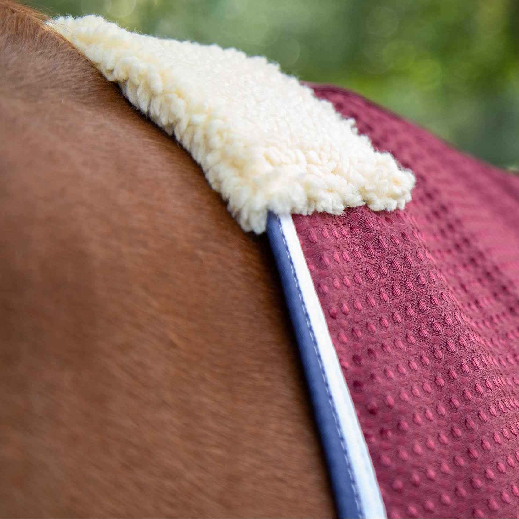 Premier Equine Buster Waffle Horse Cooler Rug Burgundy