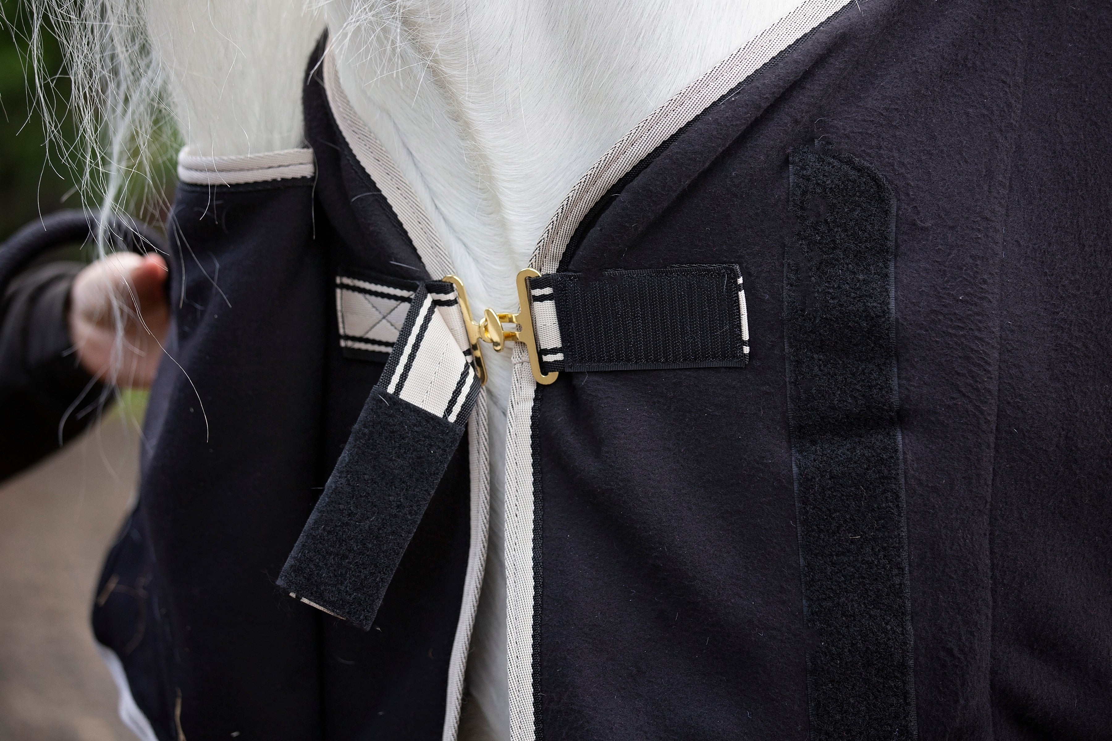 CAMEO ELEVATE SHOW RUG BLACK: Close up of front fastening and design, perfect for horses! #equestrian #horserug #cameo