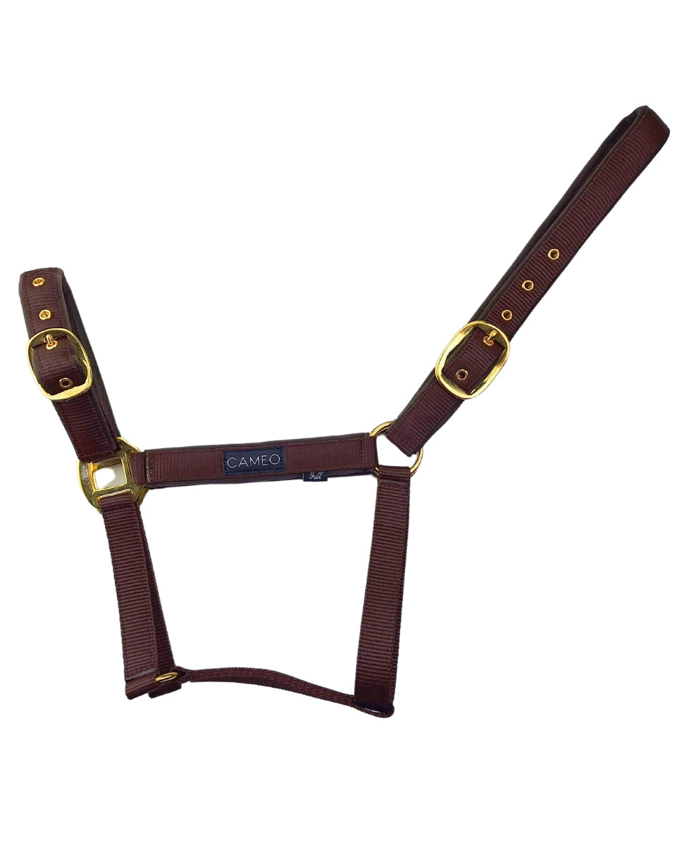 CAMEO Suede Padded Horse Headcollar - Chocolate Brown, Adjustable, Brass Fittings - location-109746323830-outofstock Full