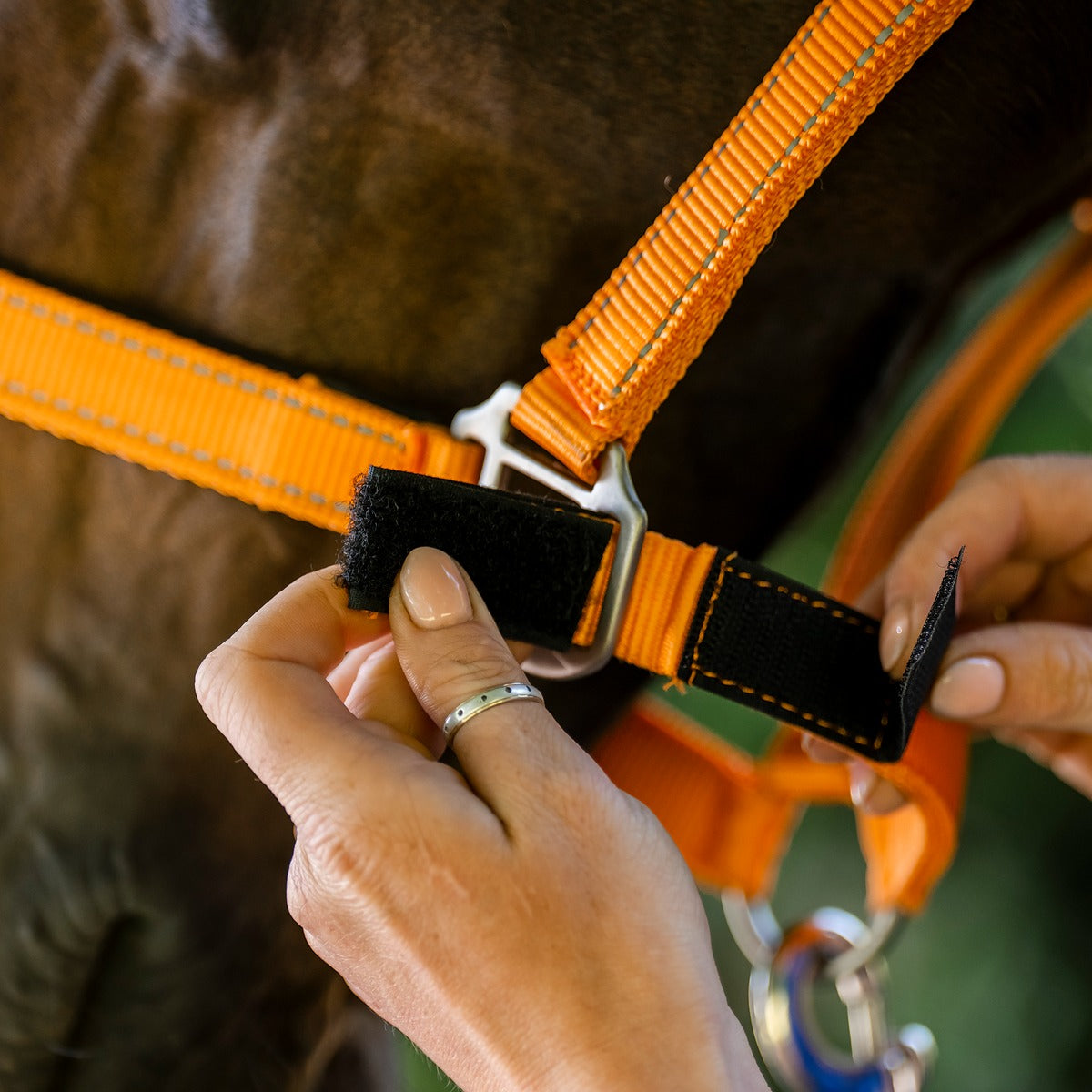 Orange Reflective Safety Horse Headcollar - Equiflair Headwear for Horses, Fieldsafe Design - Pony