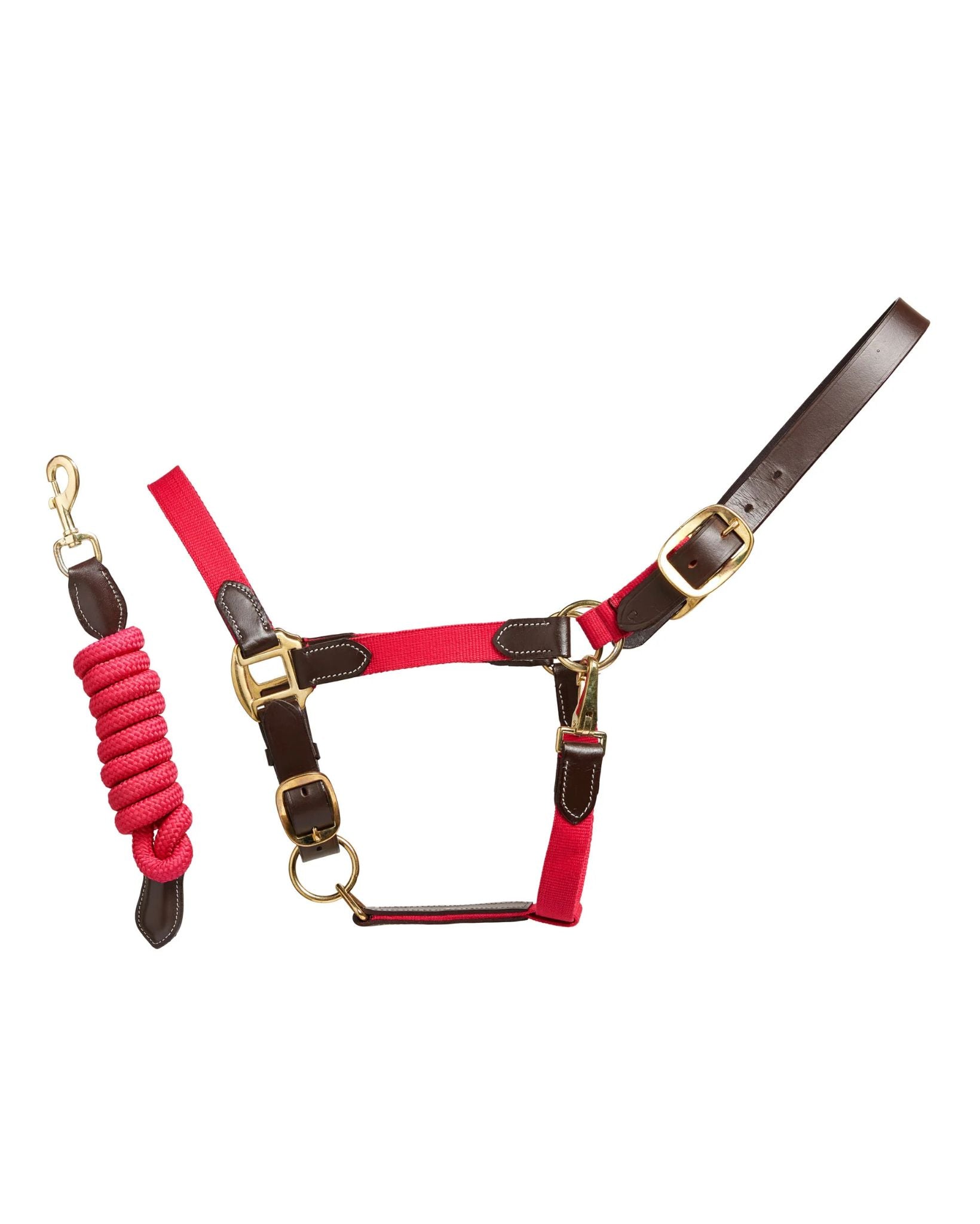 Cameo Performance Leather Headcollar & Lead Cerise | Equiflair