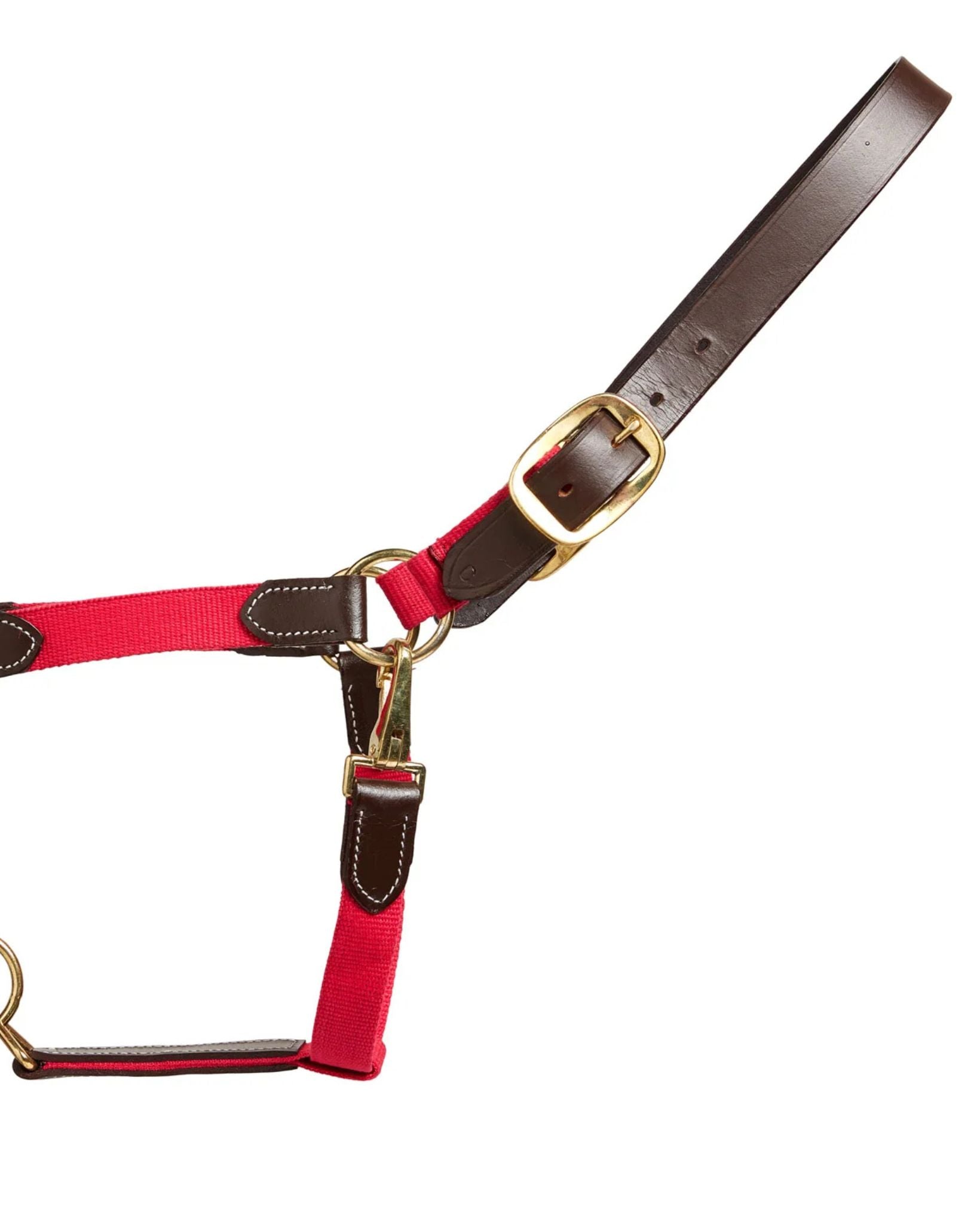 Cameo Performance Leather Headcollar & Lead Cerise | Equiflair