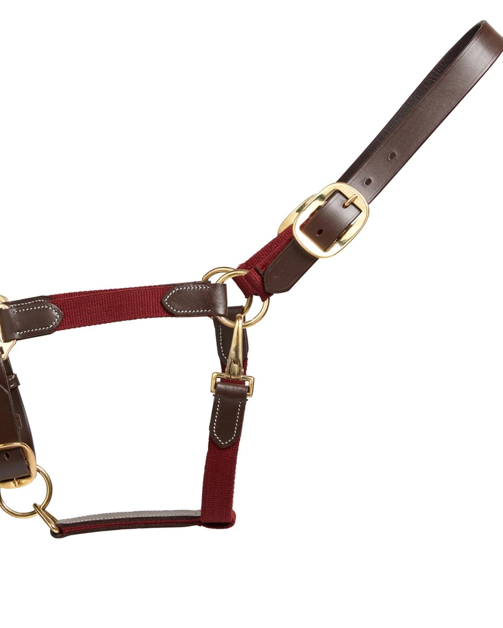 Cameo Performance Leather Headcollar & Lead Plum | Equiflair