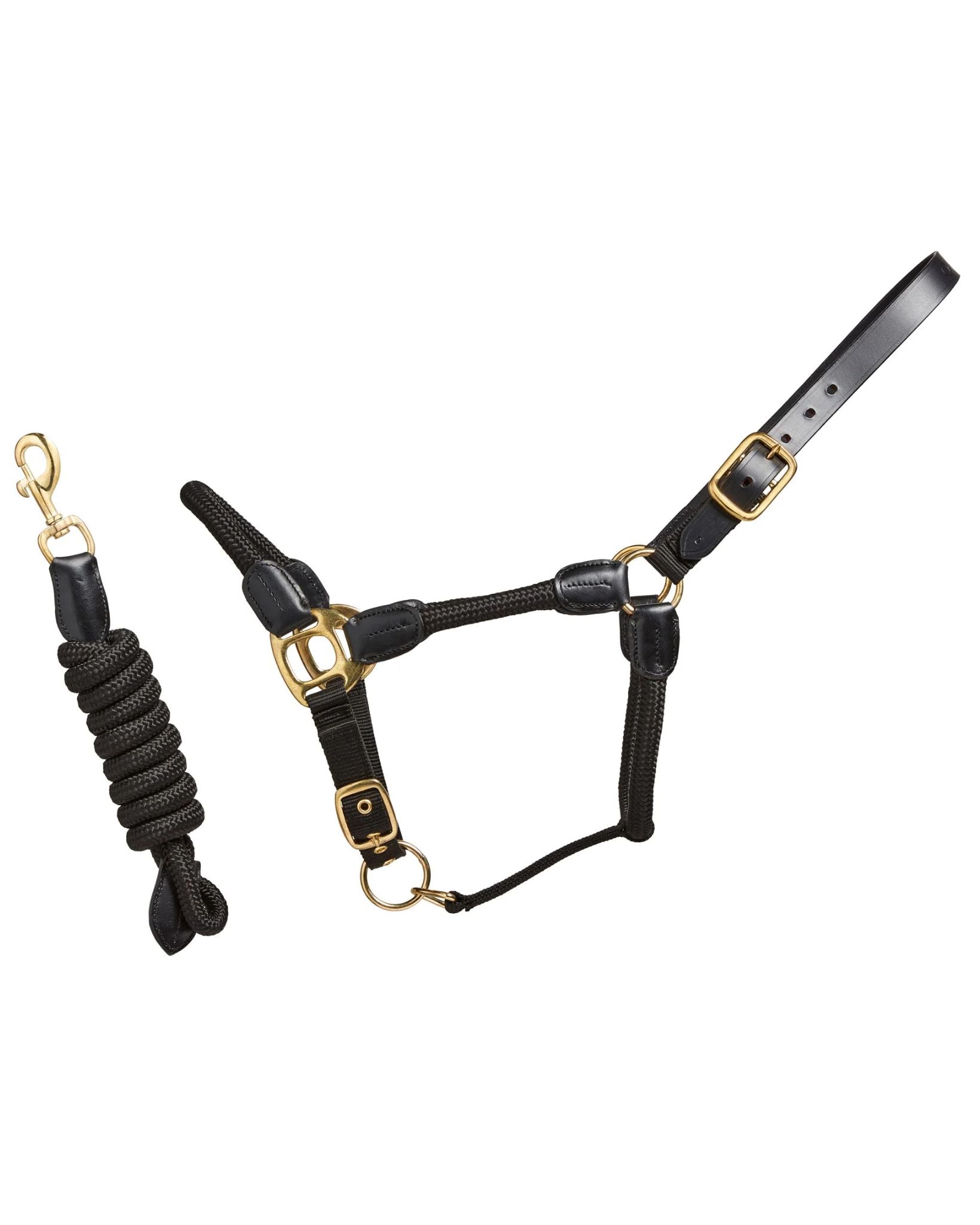 Cameo Rope Leather Headcollar and Leadrope Black | Equiflair
