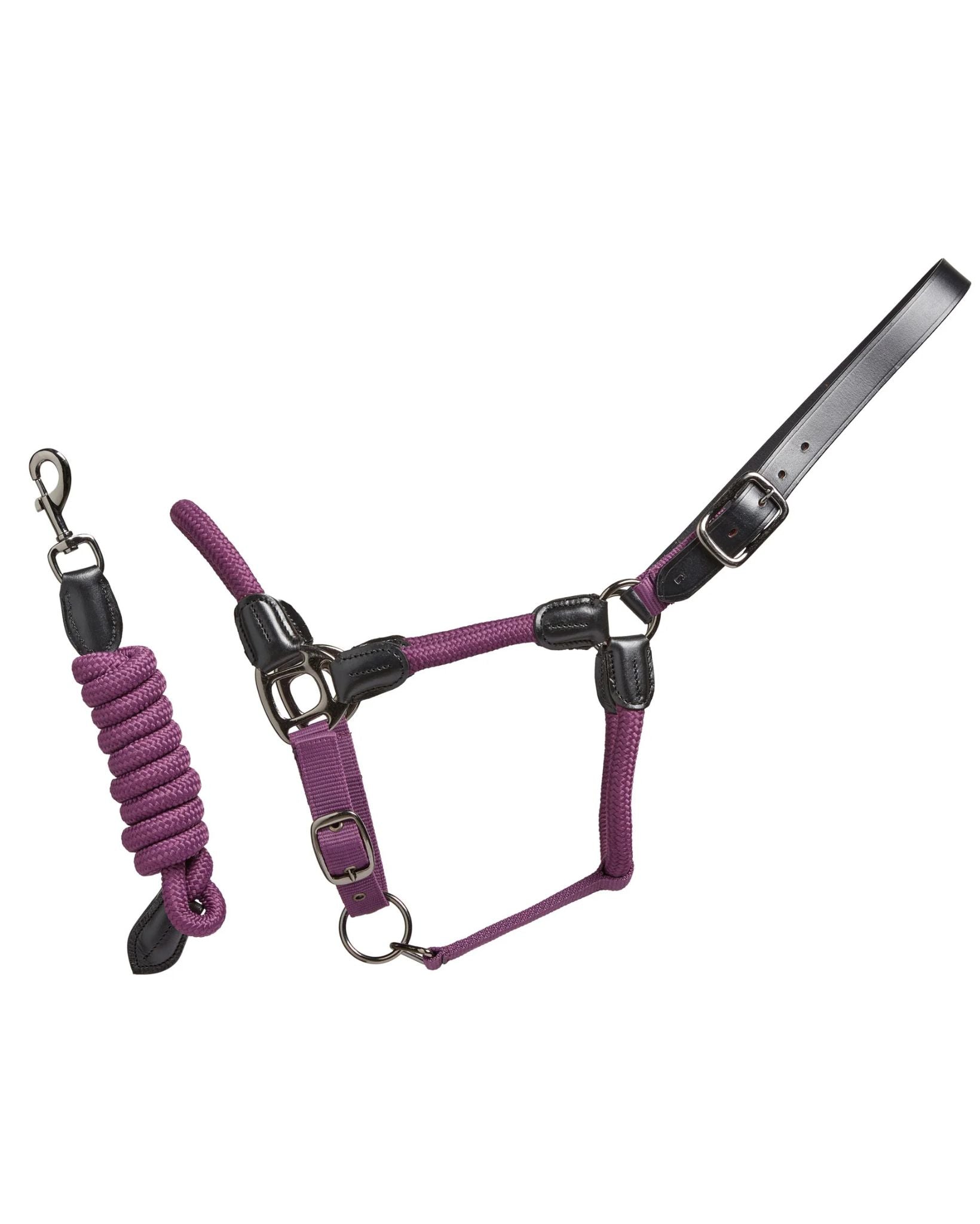 Cameo Rope Leather Headcollar and Leadrope Deep Purple | Equiflair