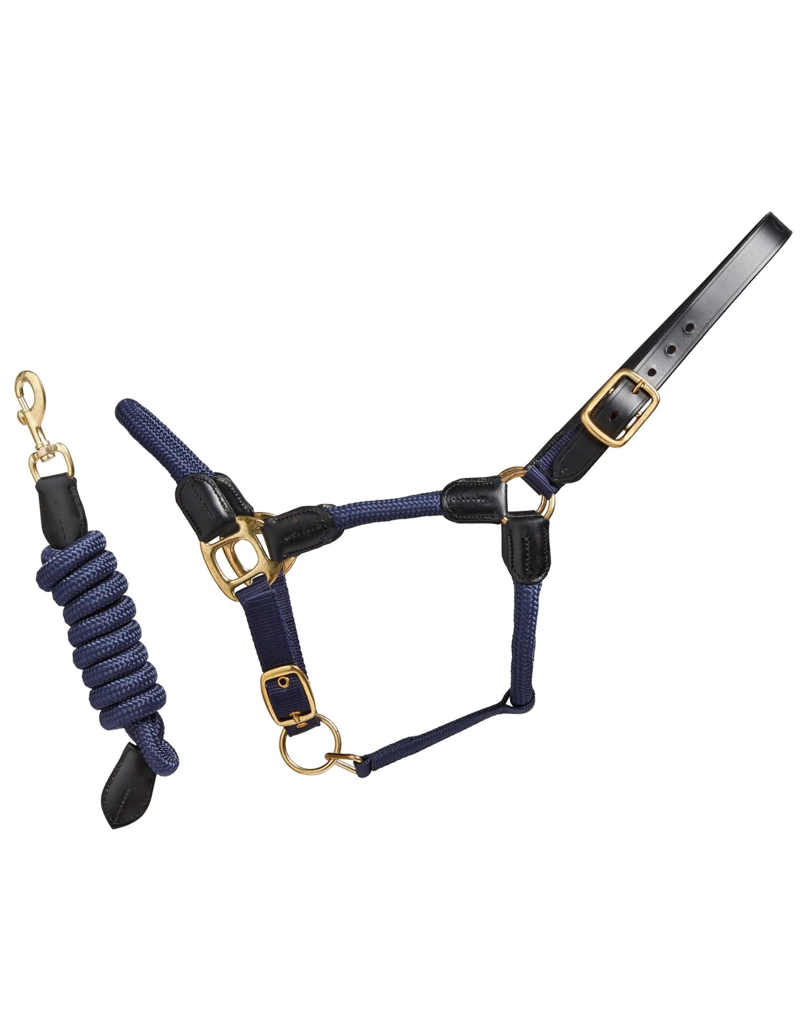 Cameo Rope Leather Headcollar and Leadrope Navy | Equiflair