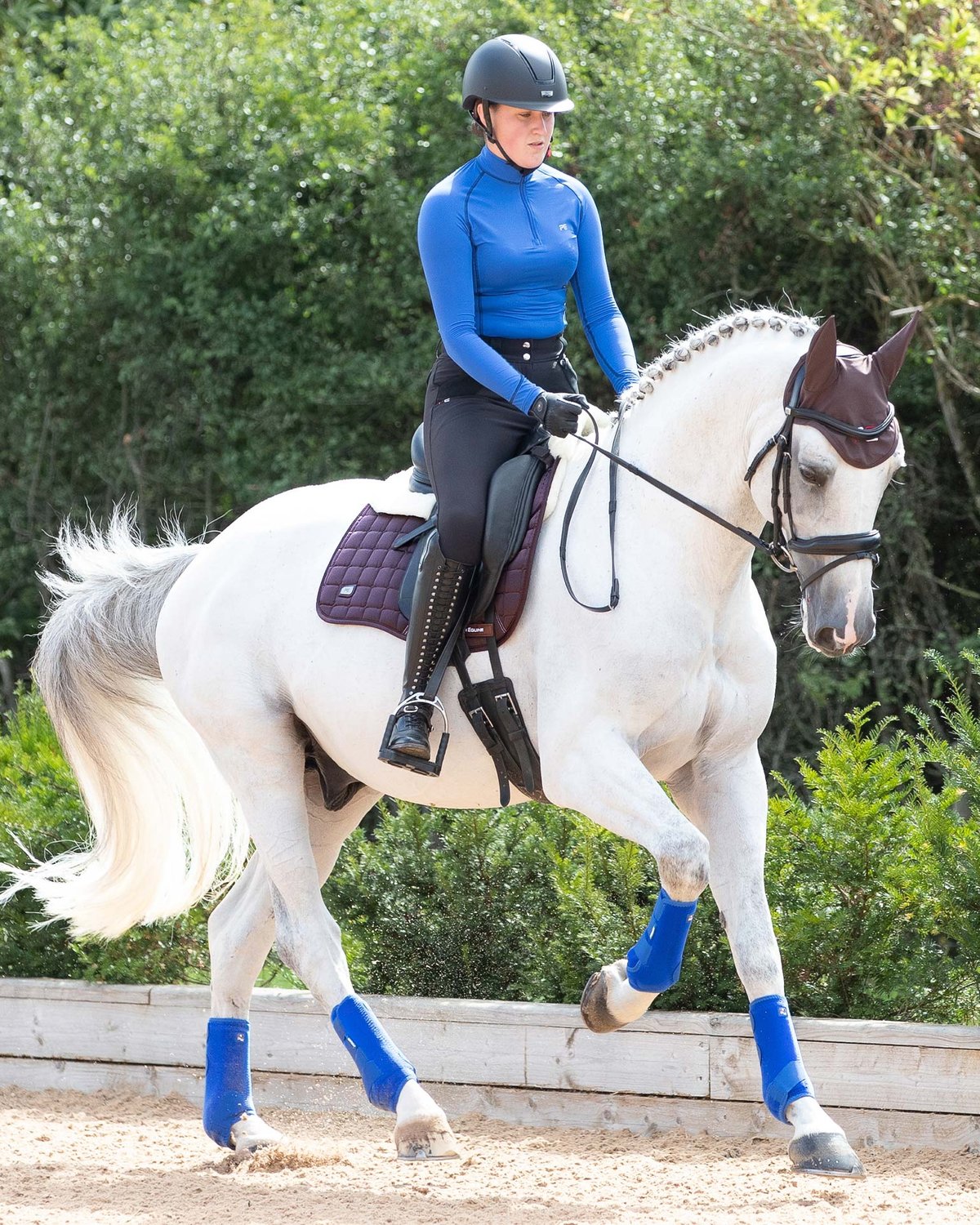 Dressage Horse and Rider with Premier Equine Merino Wool Saddle Pad from Equiflair
