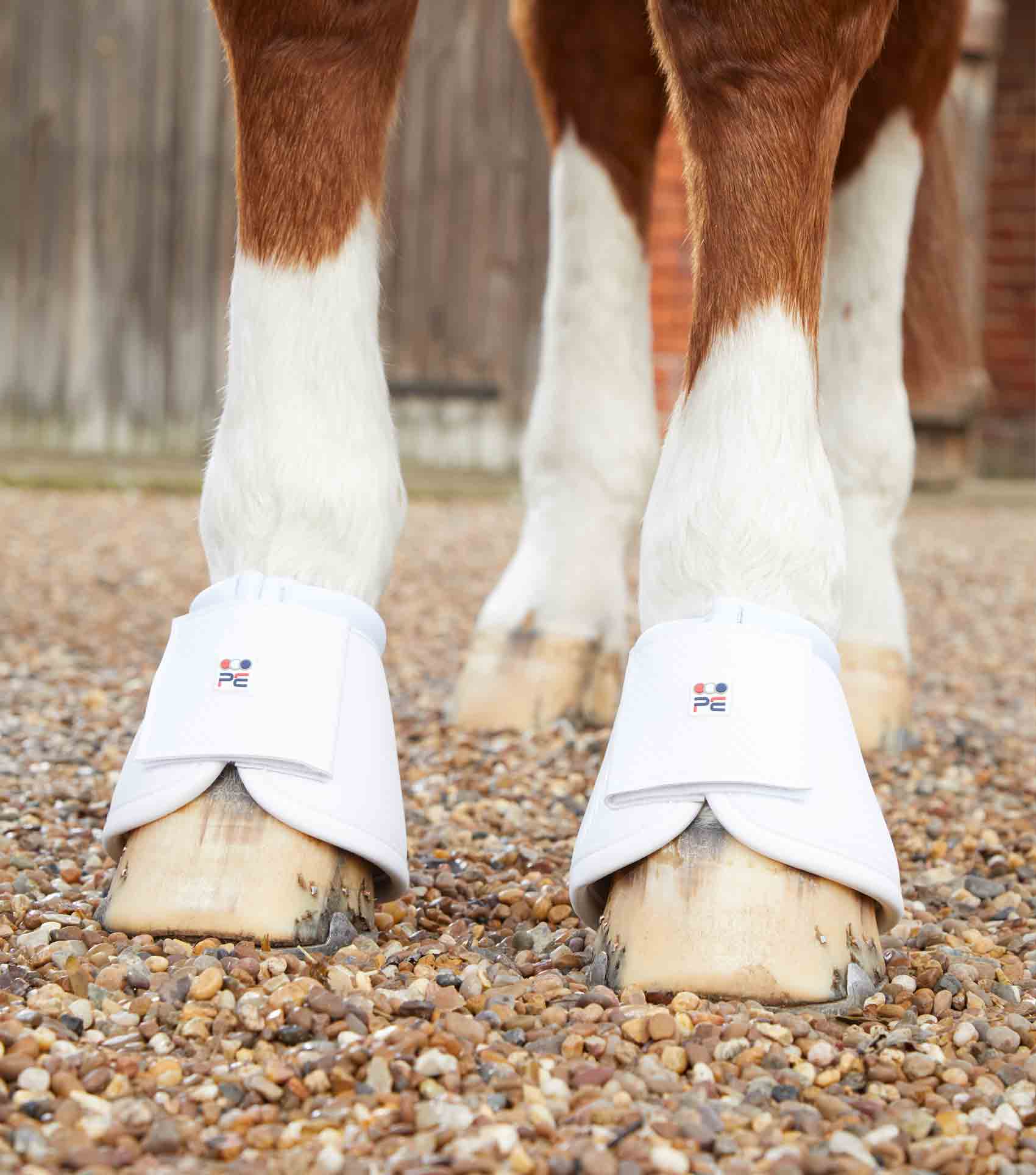 Premier Equine Carbon Over Reach Boots White - Horse Leg Protection, Overreach Boots, Equiflair