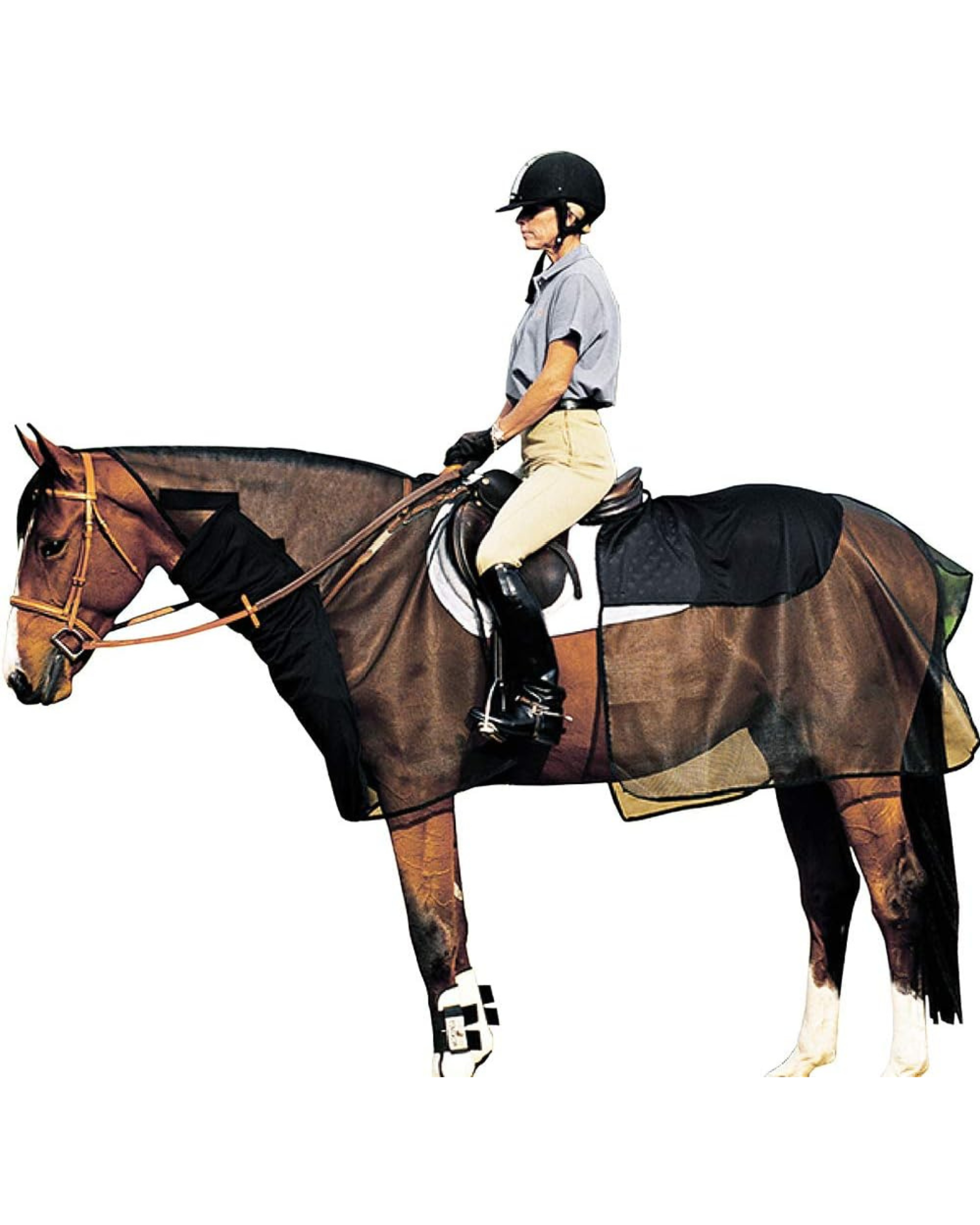 Horse with rider wearing Cashel Crusader Quiet Ride Bug Armour for fly protection. Equine summer riding, gear, apparel. Equiflair.