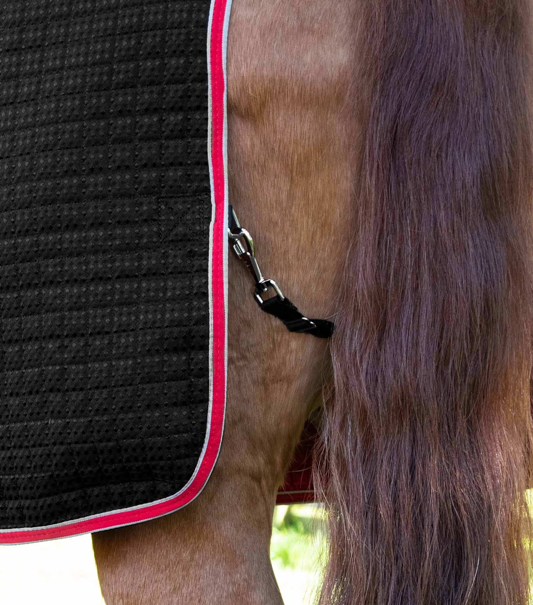 Premier Equine Black Clip-On Adjustable Horse Tail Strap - Shop Now!