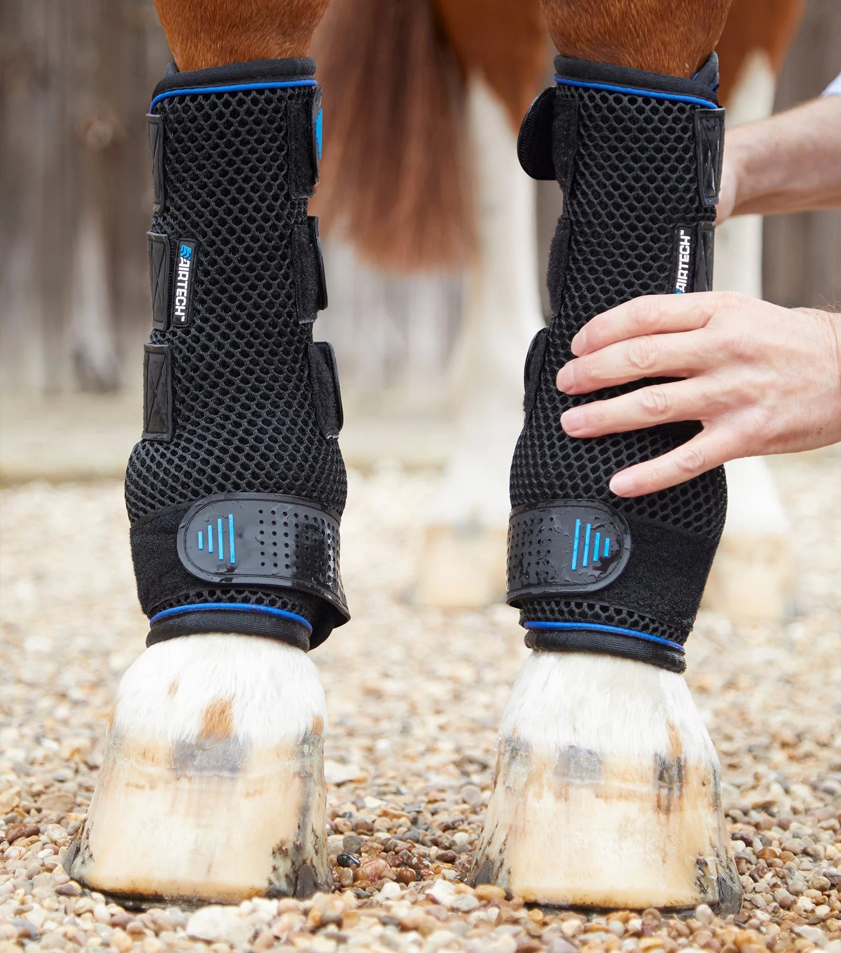 Premier Equine Cold Water Compression Boots Black