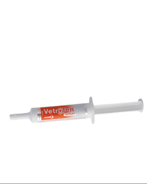 Vetrofen Intense Instant Syringe for Horses | Equine Joint Supplement | Fast Recovery | Anti-inflammatory | Horse Health | Animalife
