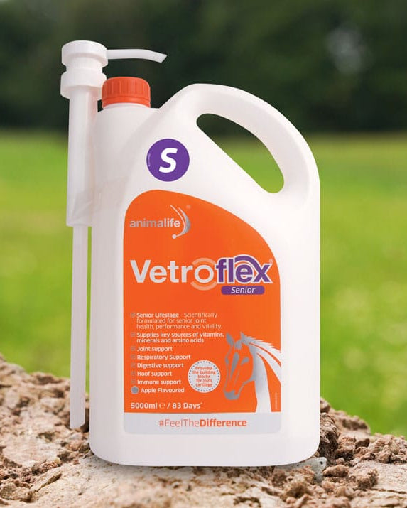 Animalife Vetroflex Senior Horse Supplement: Joint & Respiratory Support. Premium Senior Horse Care for Overall Wellbeing