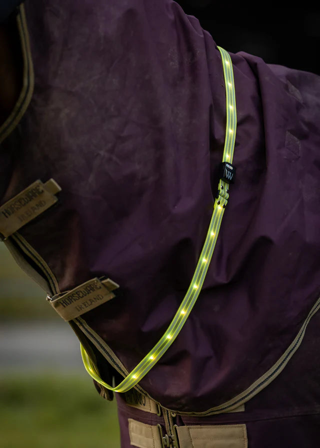 Horseware Ireland Horse with Yellow WOOF WEAR LED Sash: Enhanced Equestrian Visibility