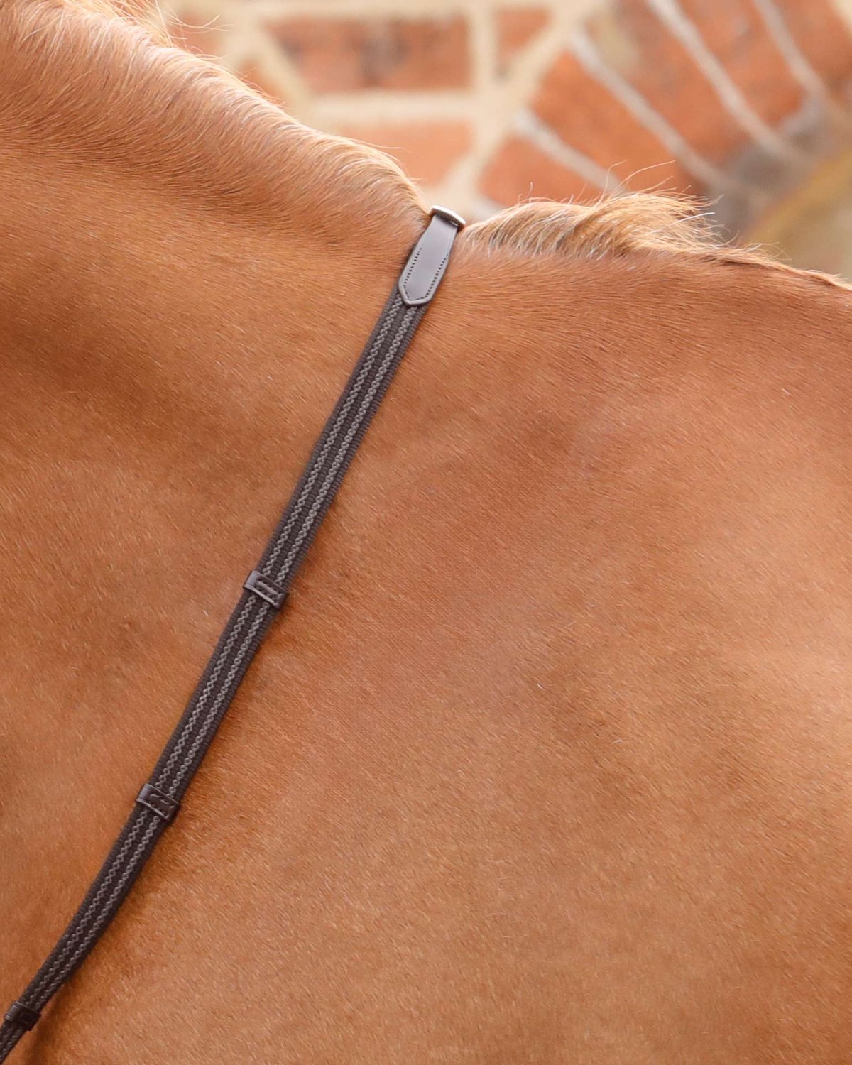 Premier Equine Domenico Web & Rubber Grip Reins Brown