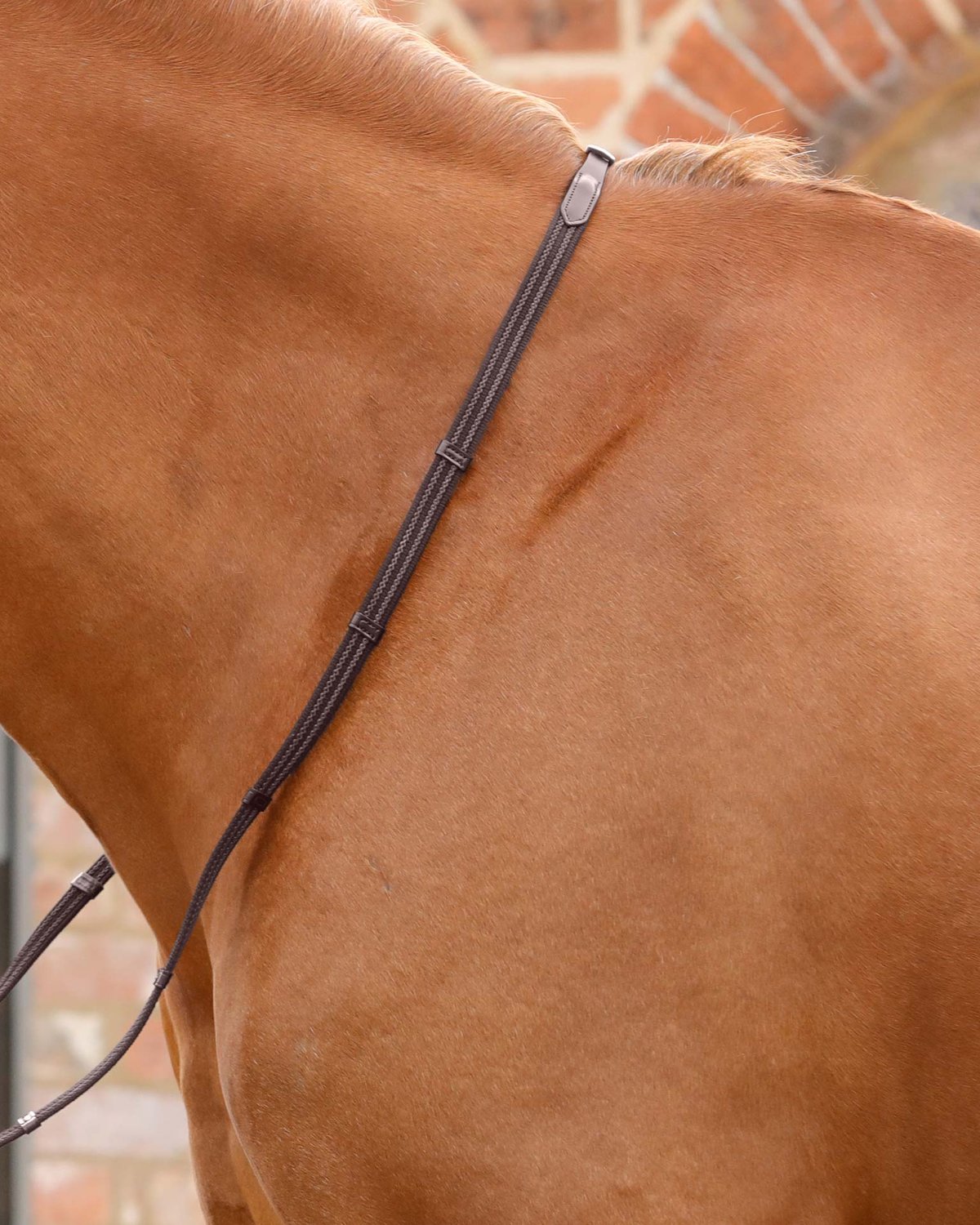 Premier Equine Domenico Web & Rubber Grip Reins Brown