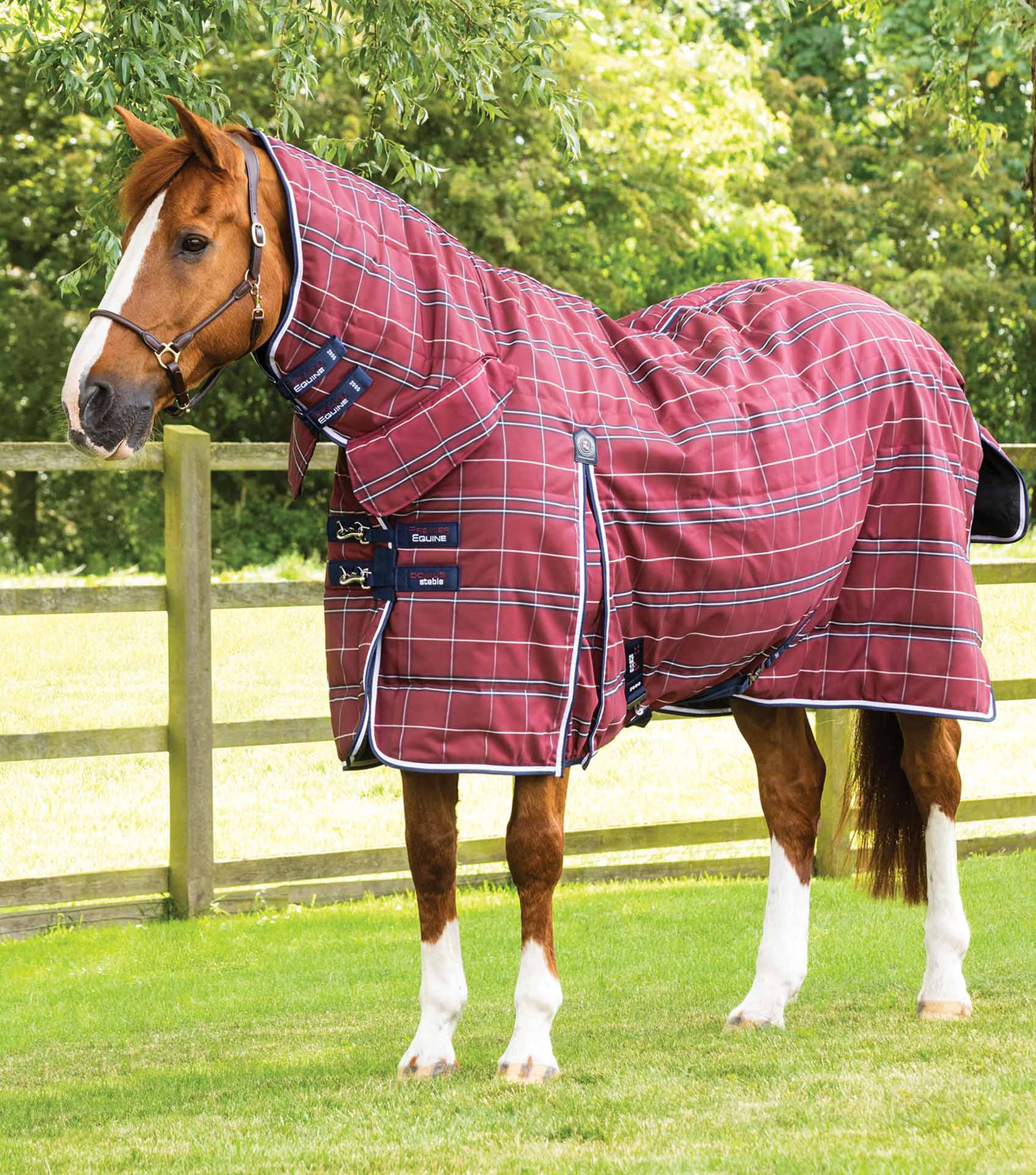 Horse in Burgundy Check Stable Rug | Premier Equine Domus Combo - Equine Blanket, Horse Comfort, Medium Weight