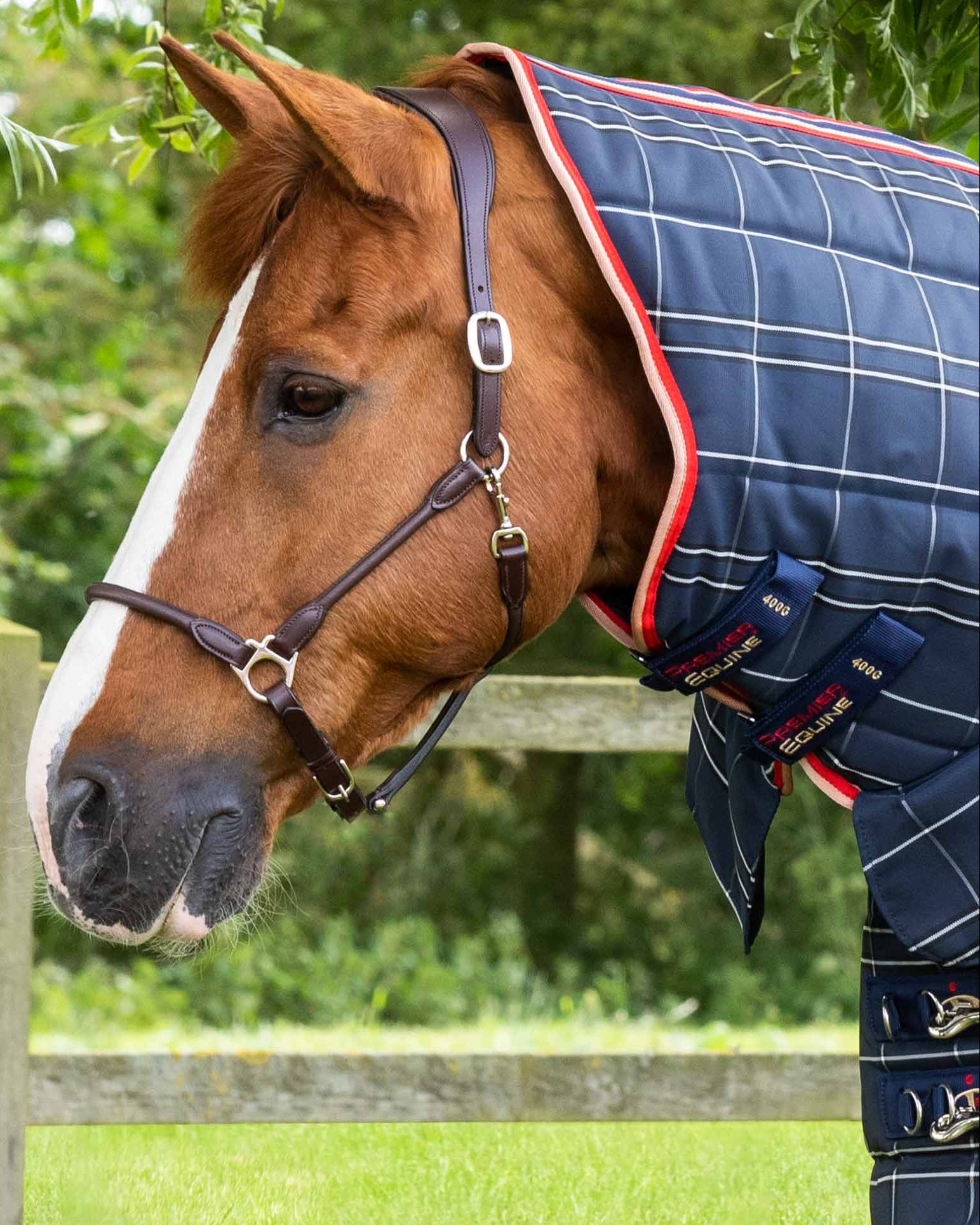 Premier Equine Domus 200g Combo Stable Rug Navy Check