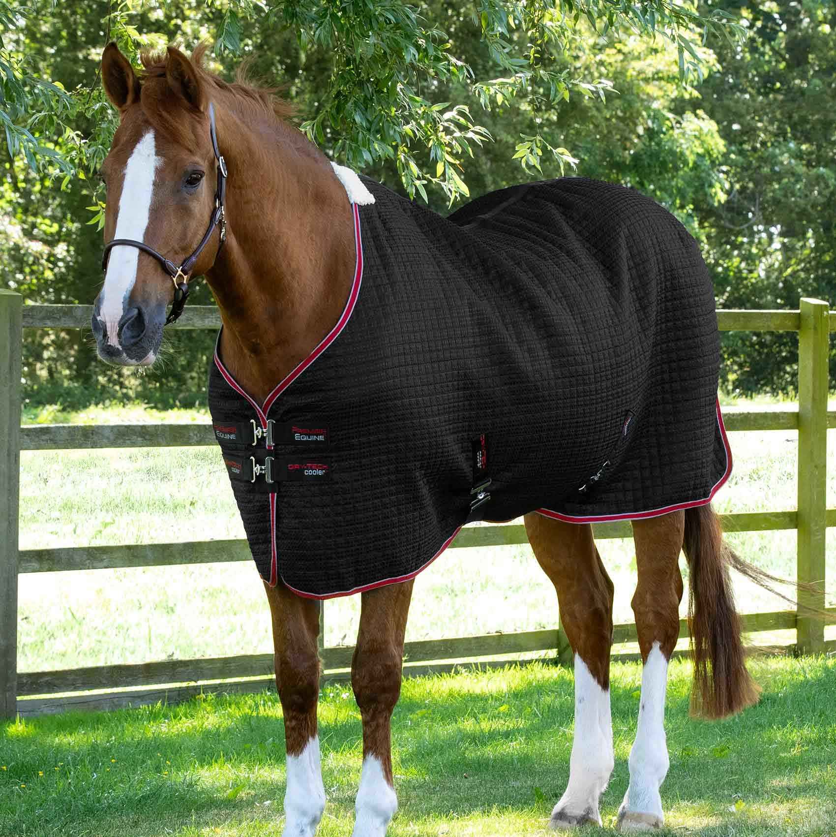 Premier Equine Dry-Tech Horse Cooler Rug Black