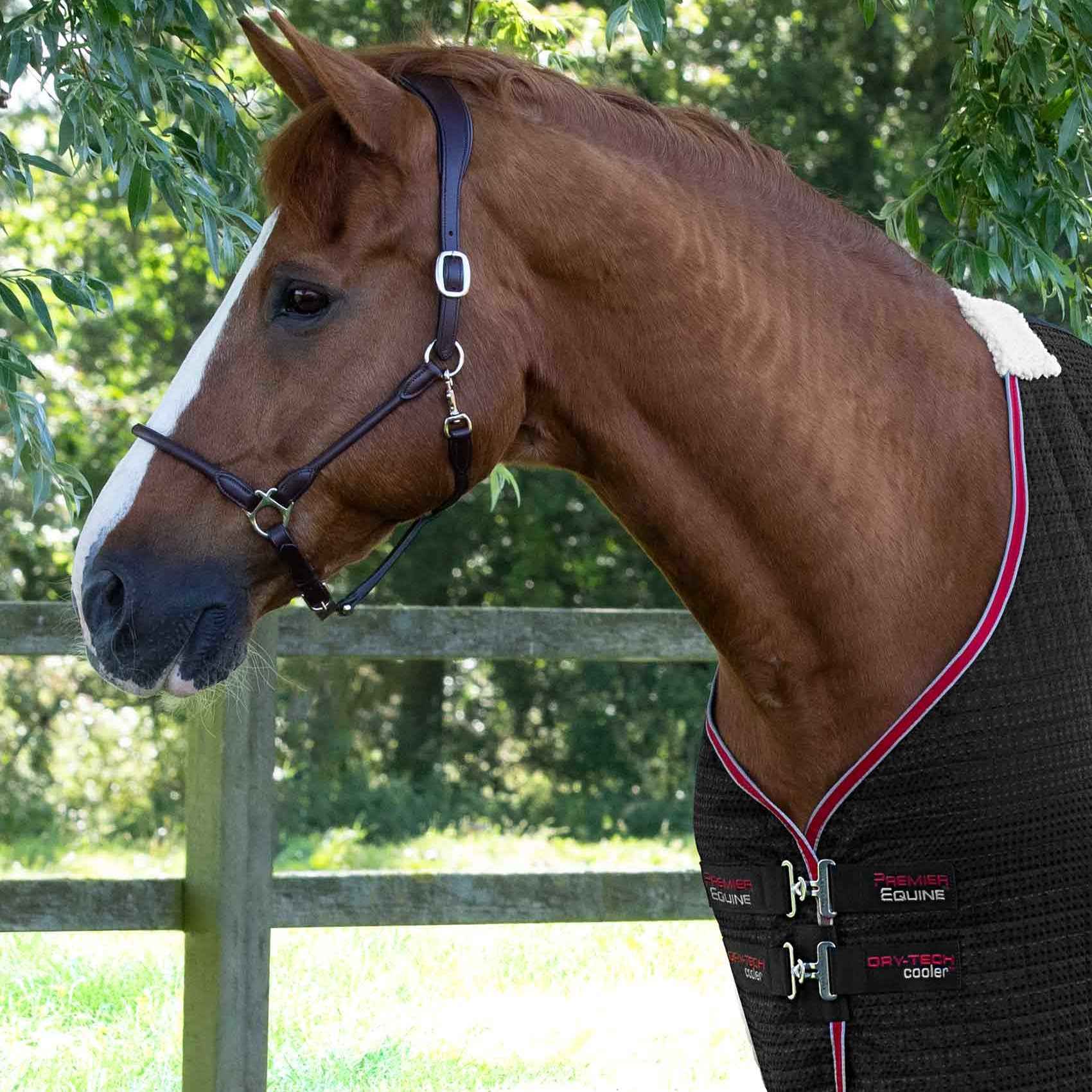 Premier Equine Dry-Tech Horse Cooler Rug Black